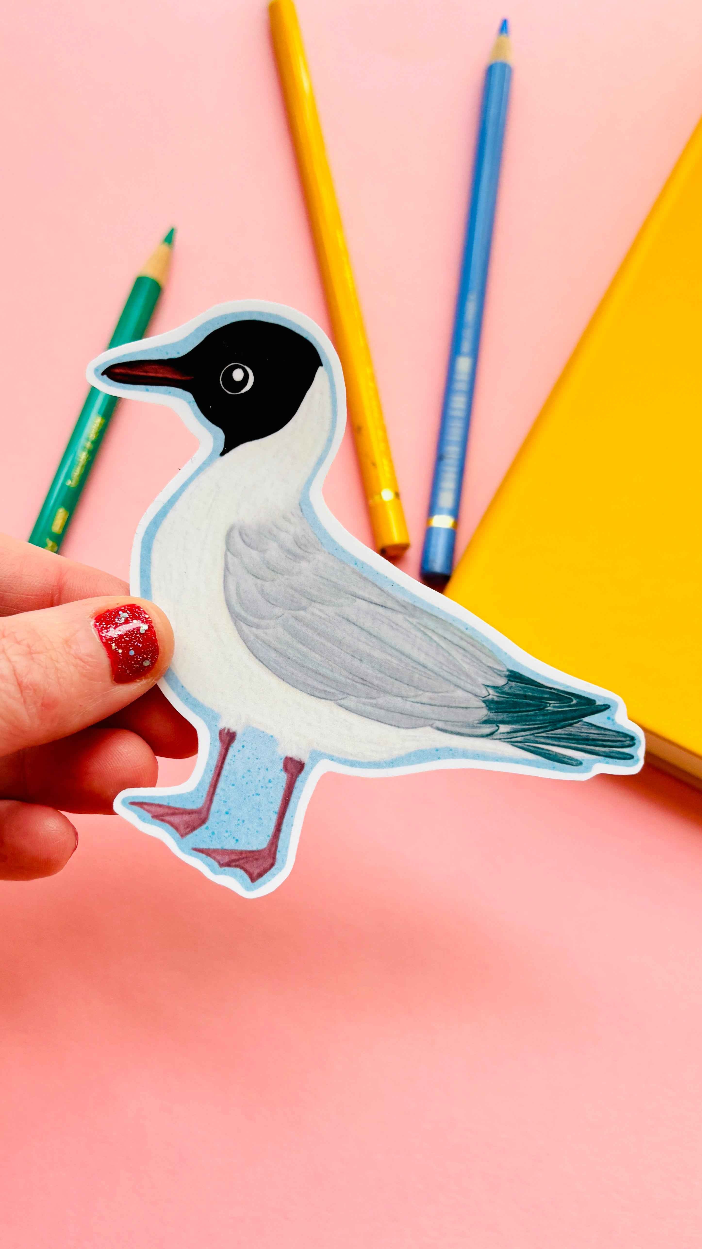 Black headed Gull Illustrated Vinyl Sticker