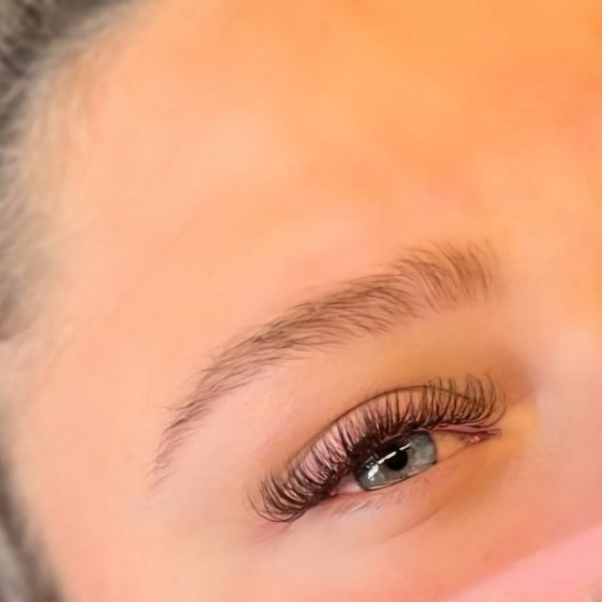 Brown Fairy Lash 16 Row Mixed Tray