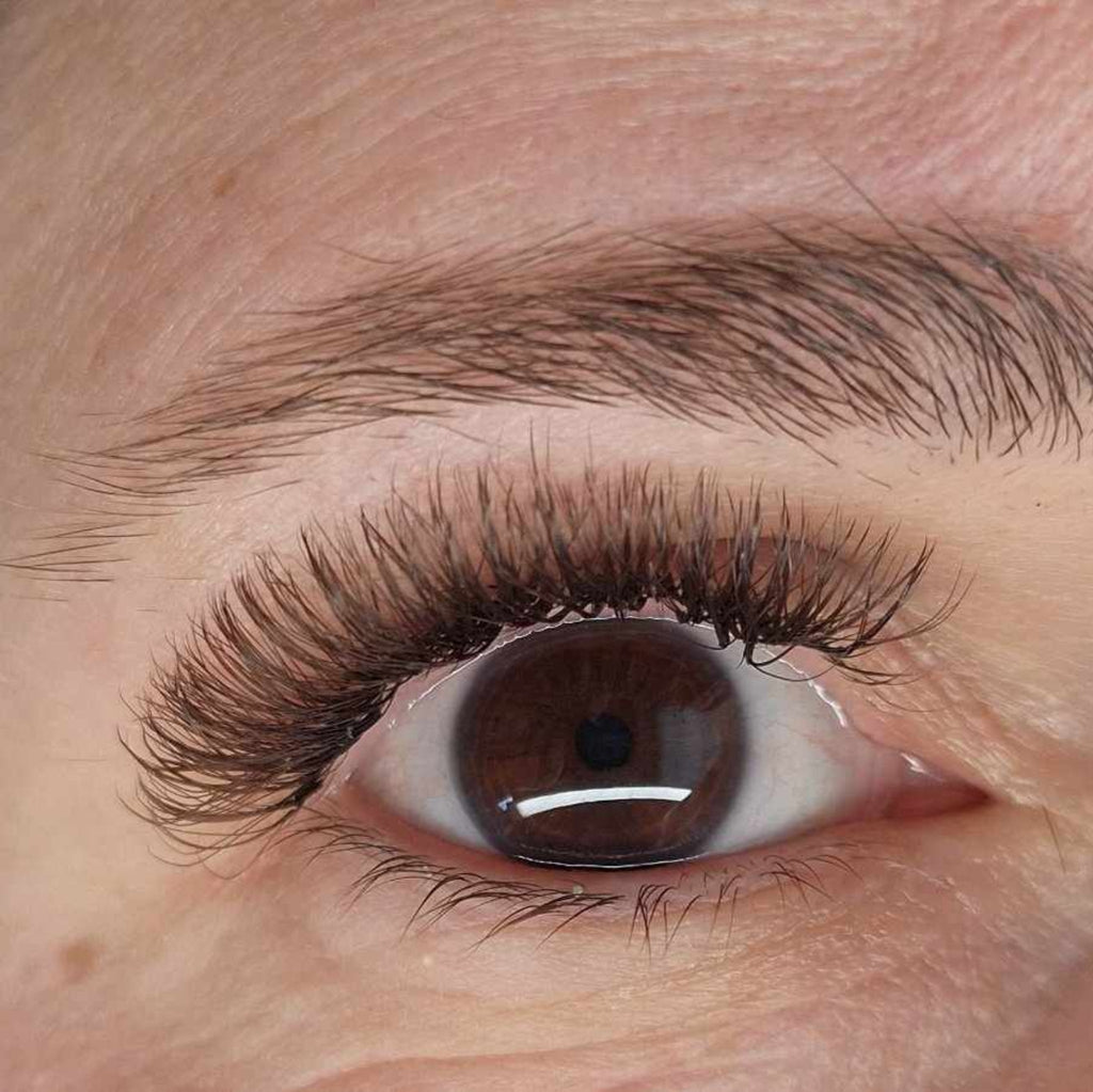Brown Fairy Lash 16 Row Mixed Tray