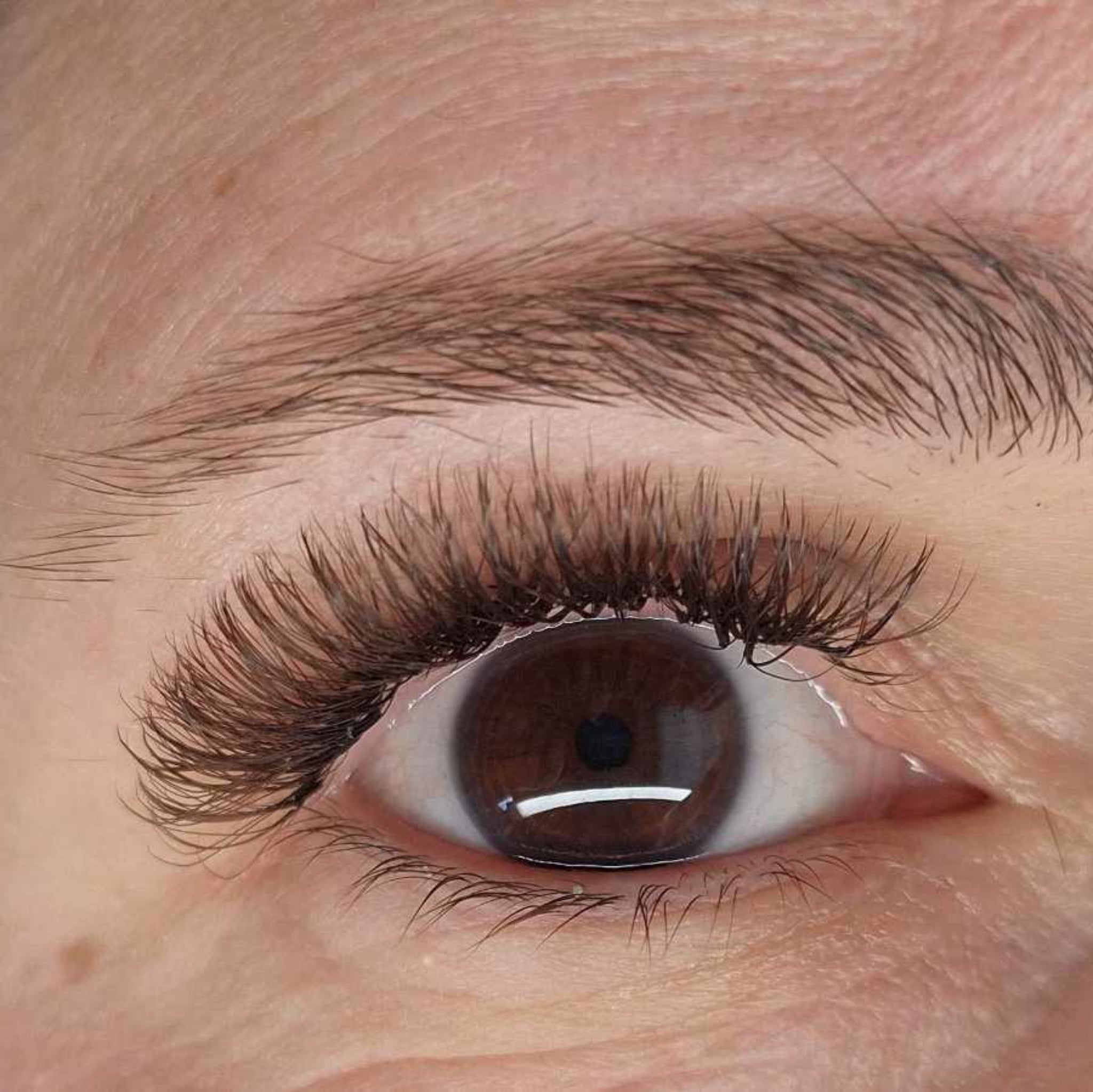 Brown Fairy Lash 16 Row Mixed Tray