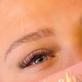 Brown Fairy Lash 16 Row Mixed Tray