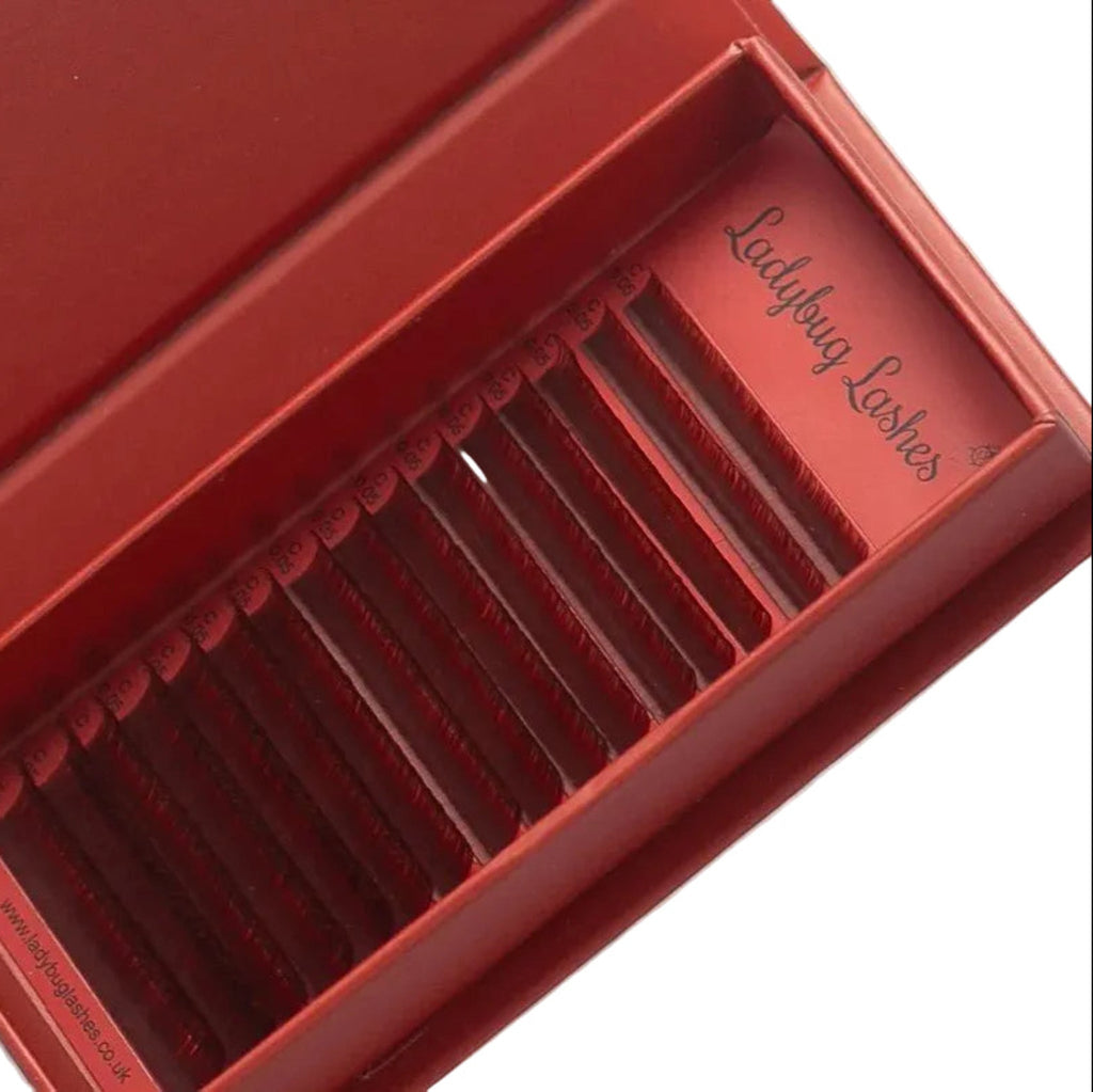 Brown Volume Lash Mixed Tray