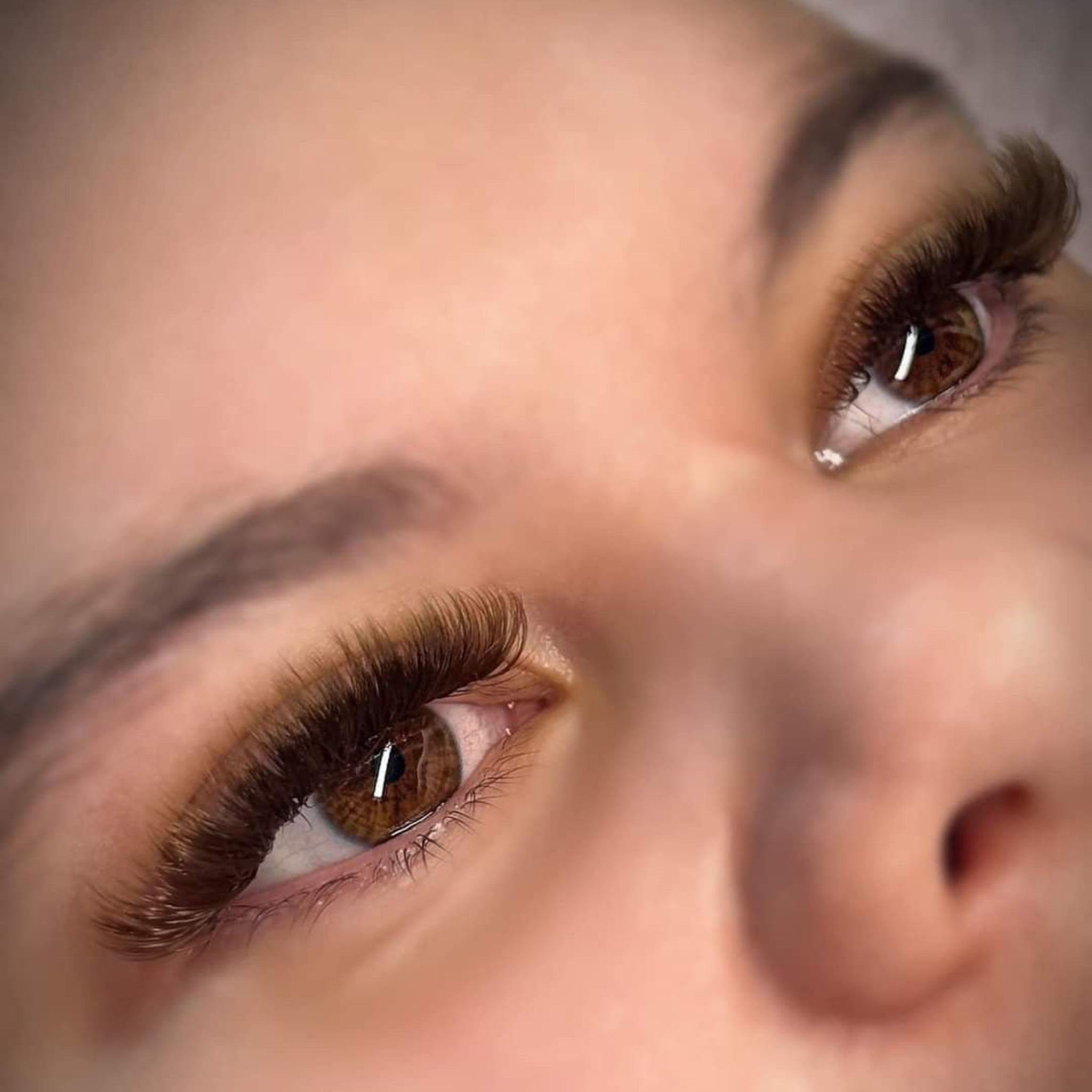 Brown Volume Lash Mixed Tray