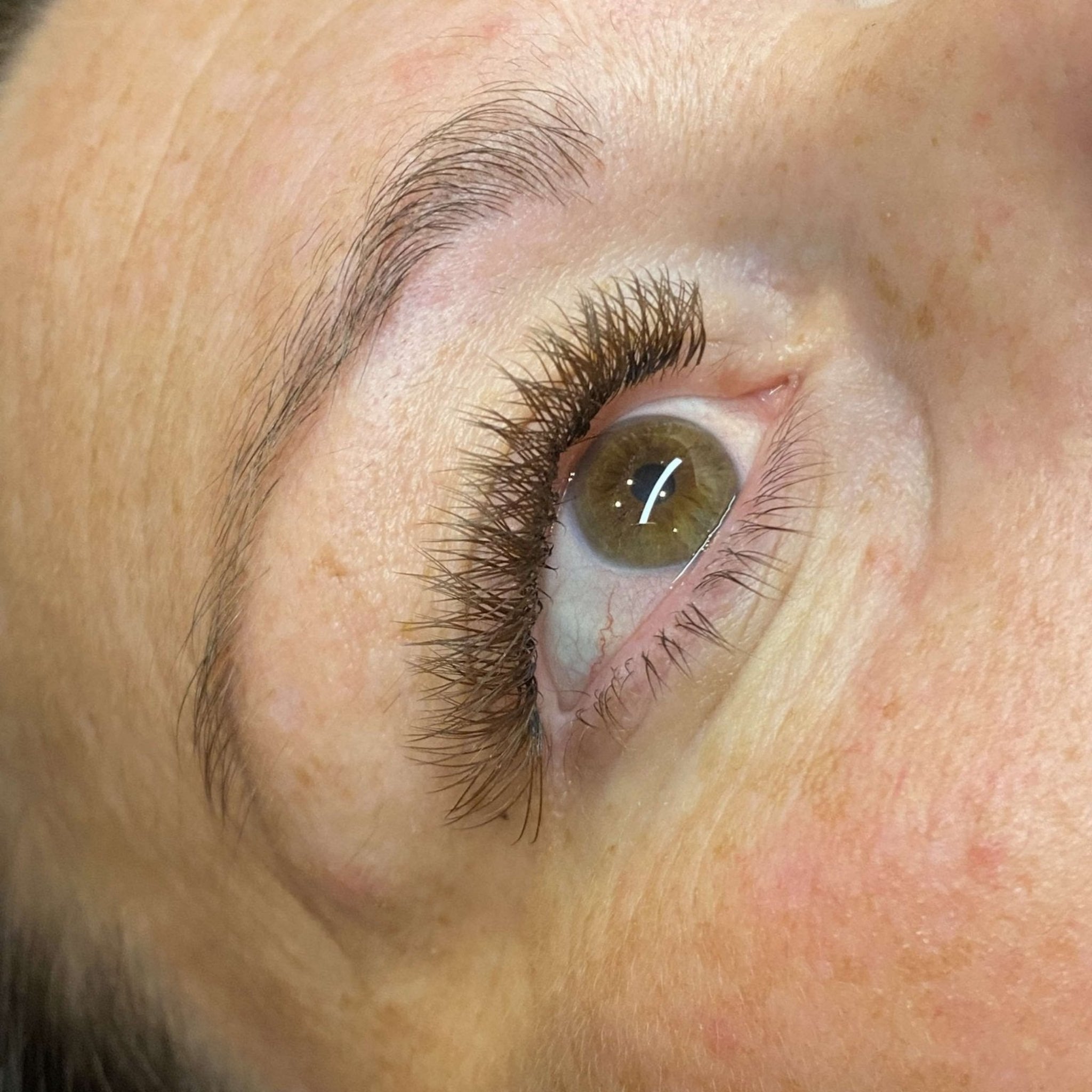 Brown YY Lashes 16 Row Mixed Tray