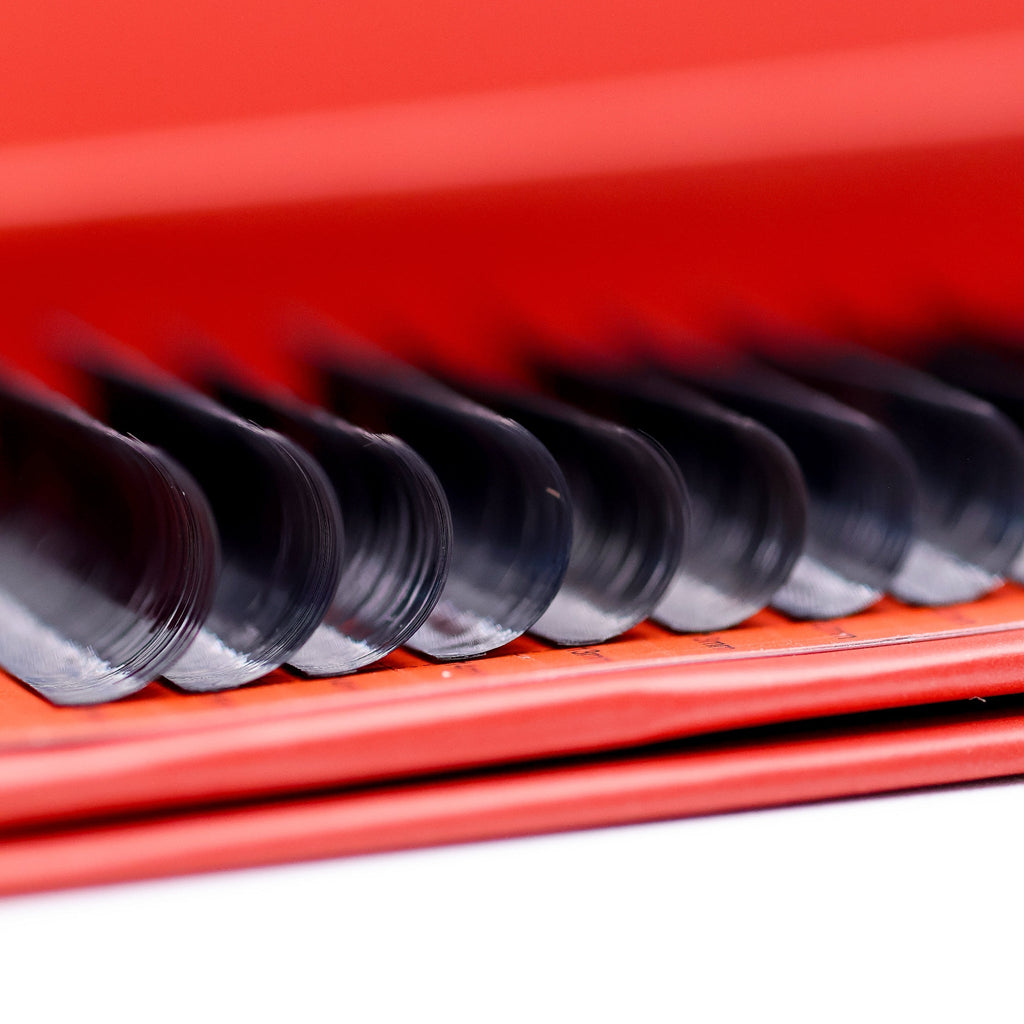 Wet Look Lash Mixed Tray