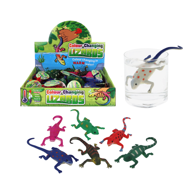 Colour Changing Lizard