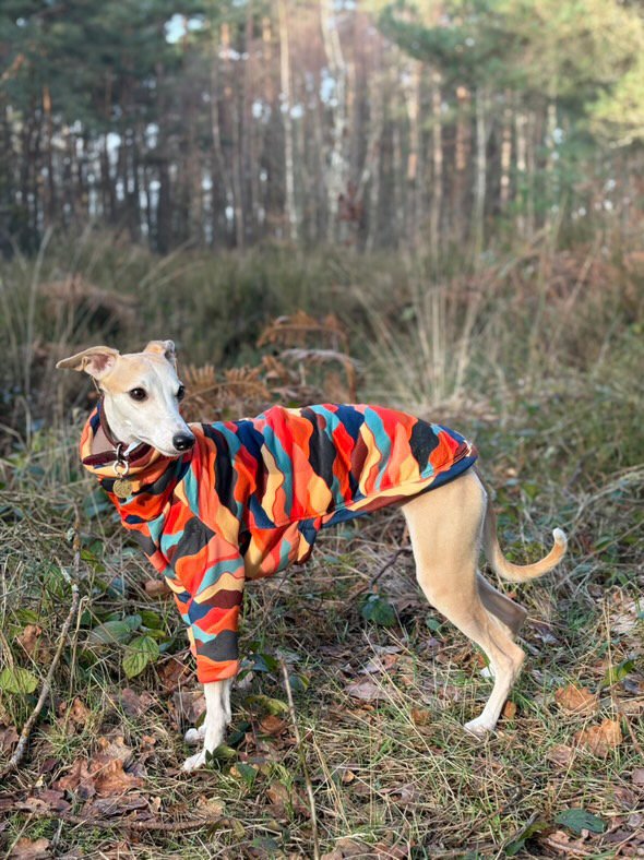 Sherpa Lined Fleece Puppy Jumper - Mountains