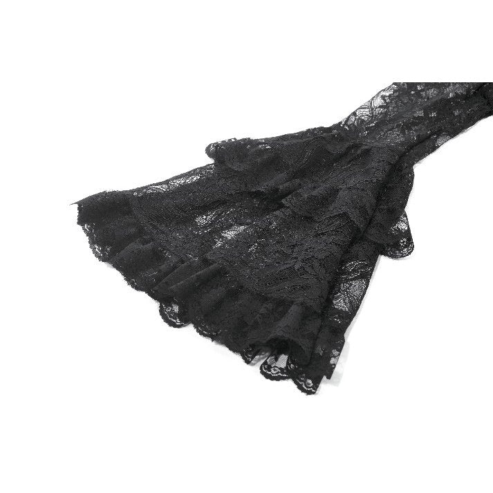 Dark in Love Anastasia Gothic Velvet & Lace Embroidered Dress