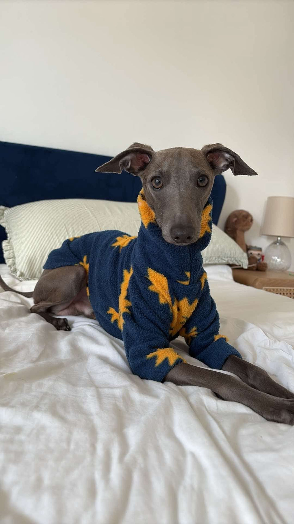 Fleece Jumper - Happy Suns