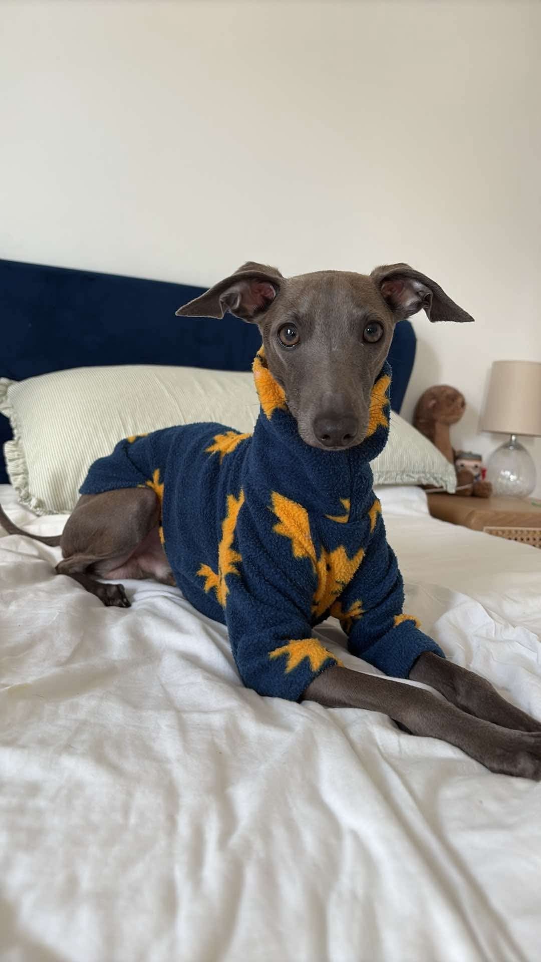 Fleece Jumper - Happy Suns