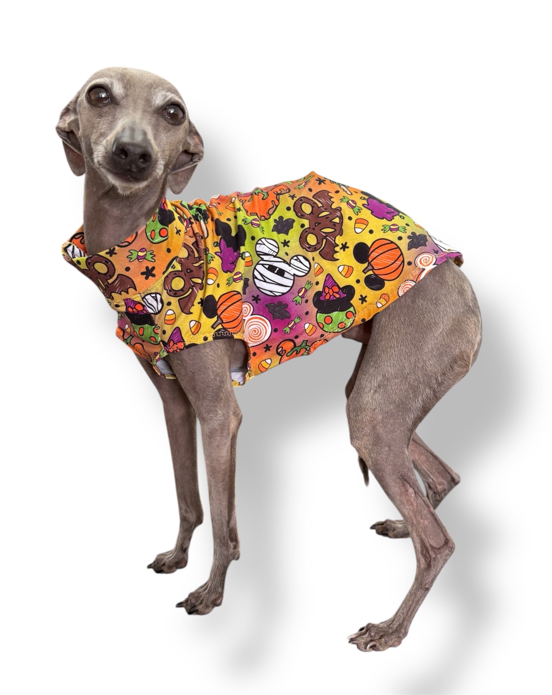 Jersey Vest - Halloween Disney