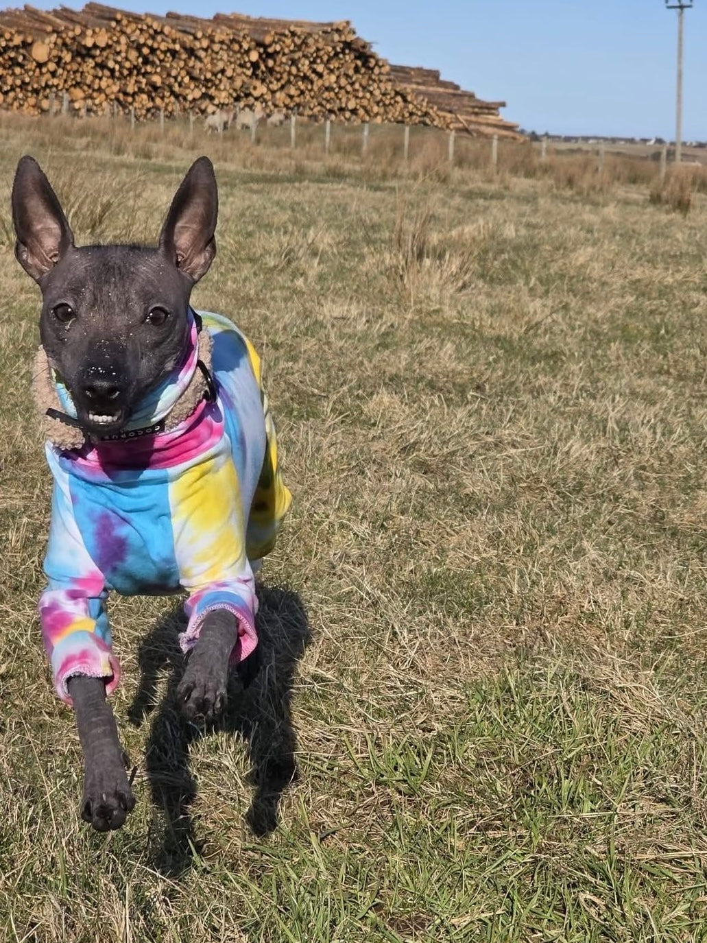 Jersey Suit - Rainbow Tie Dye