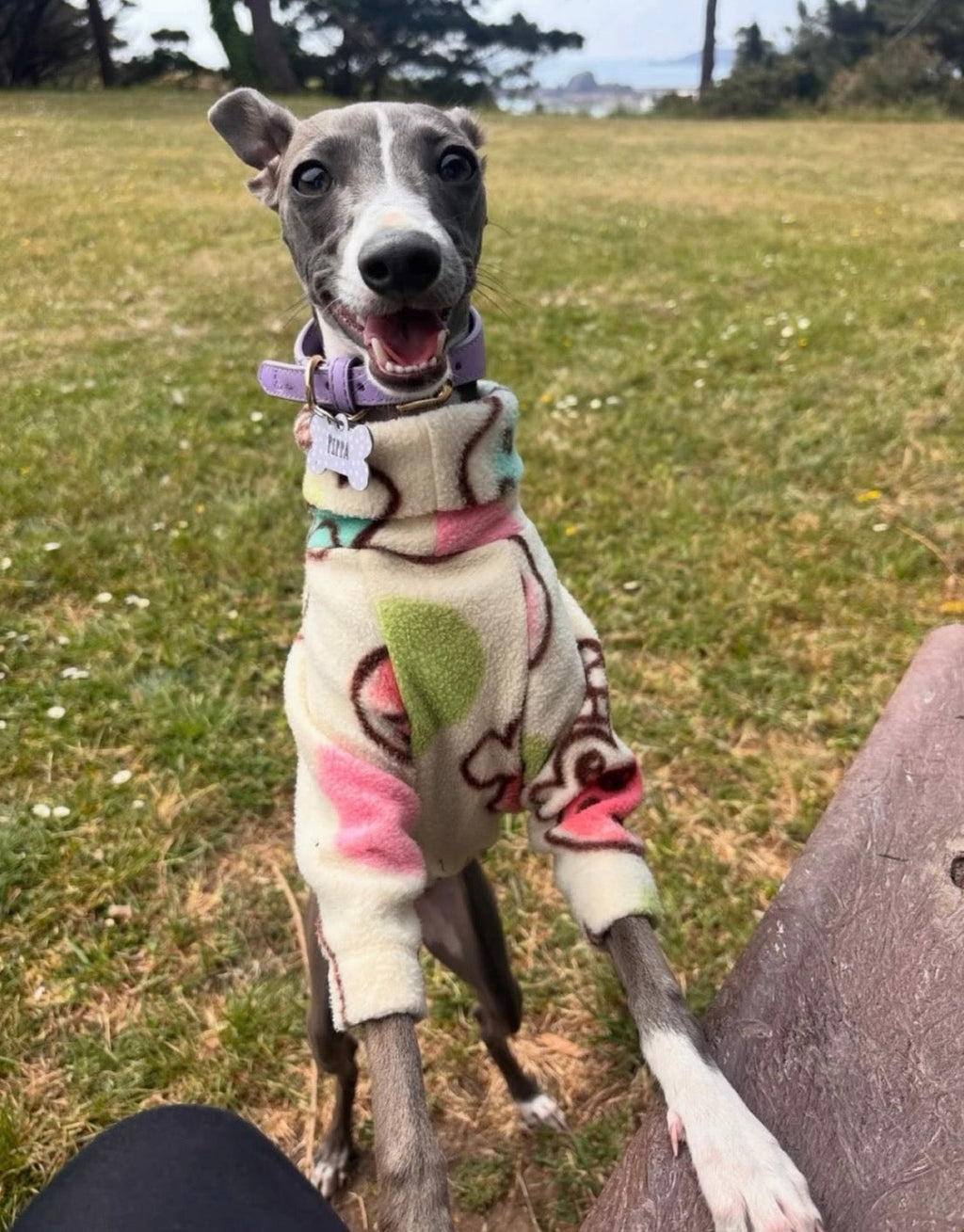 Fleece Jumper - Ice Creams