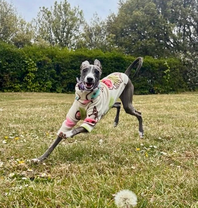 Fleece Jumper - Ice Creams