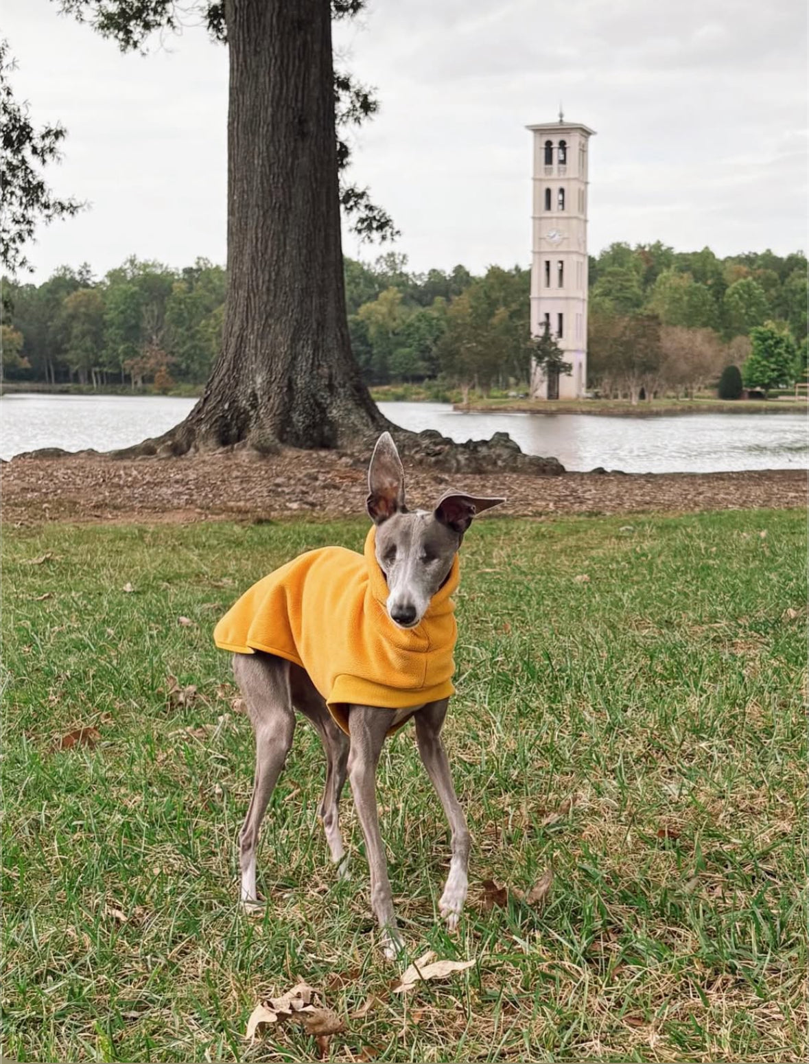Open-Leg Fleece Vest - Yellow