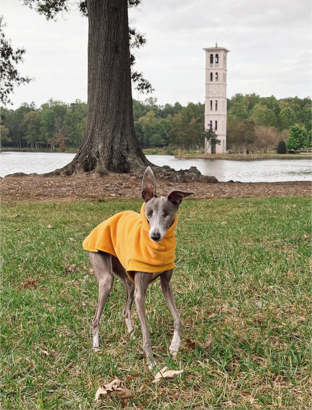 Open-Leg Fleece Vest - Coral