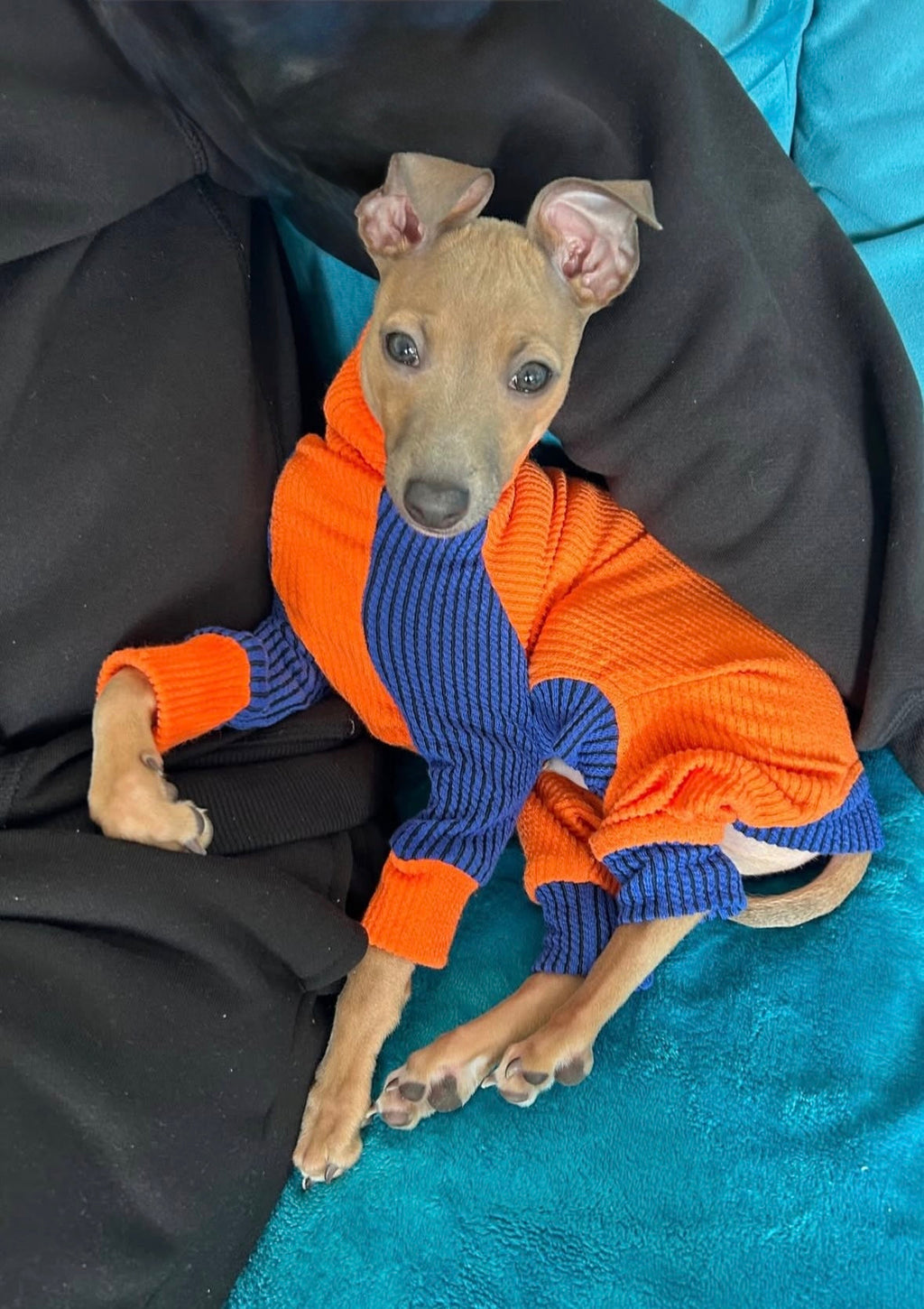 Ribbed Jersey Suit - Orangina