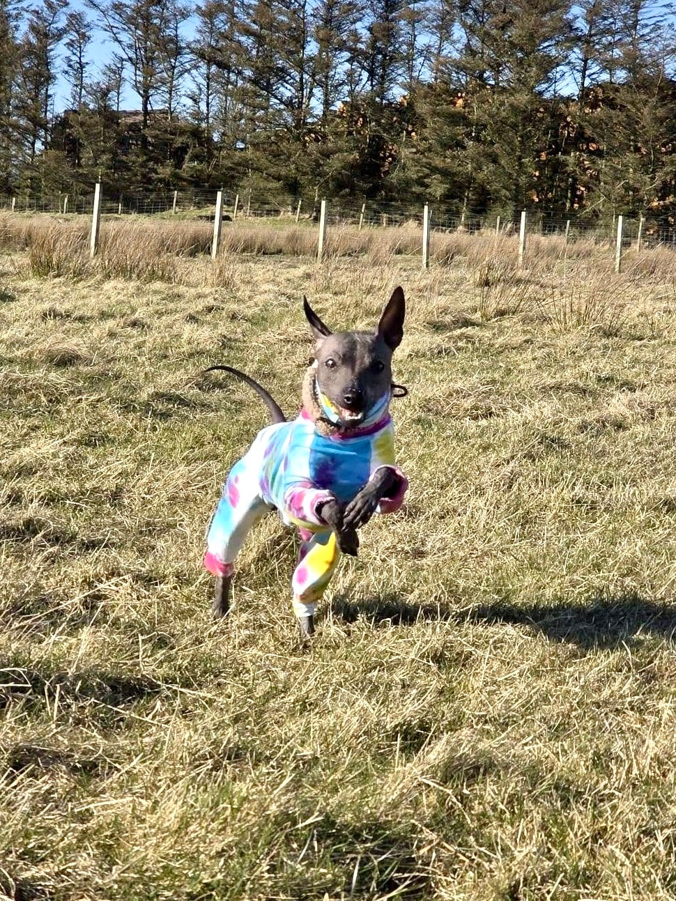 Jersey Suit - Rainbow Tie Dye