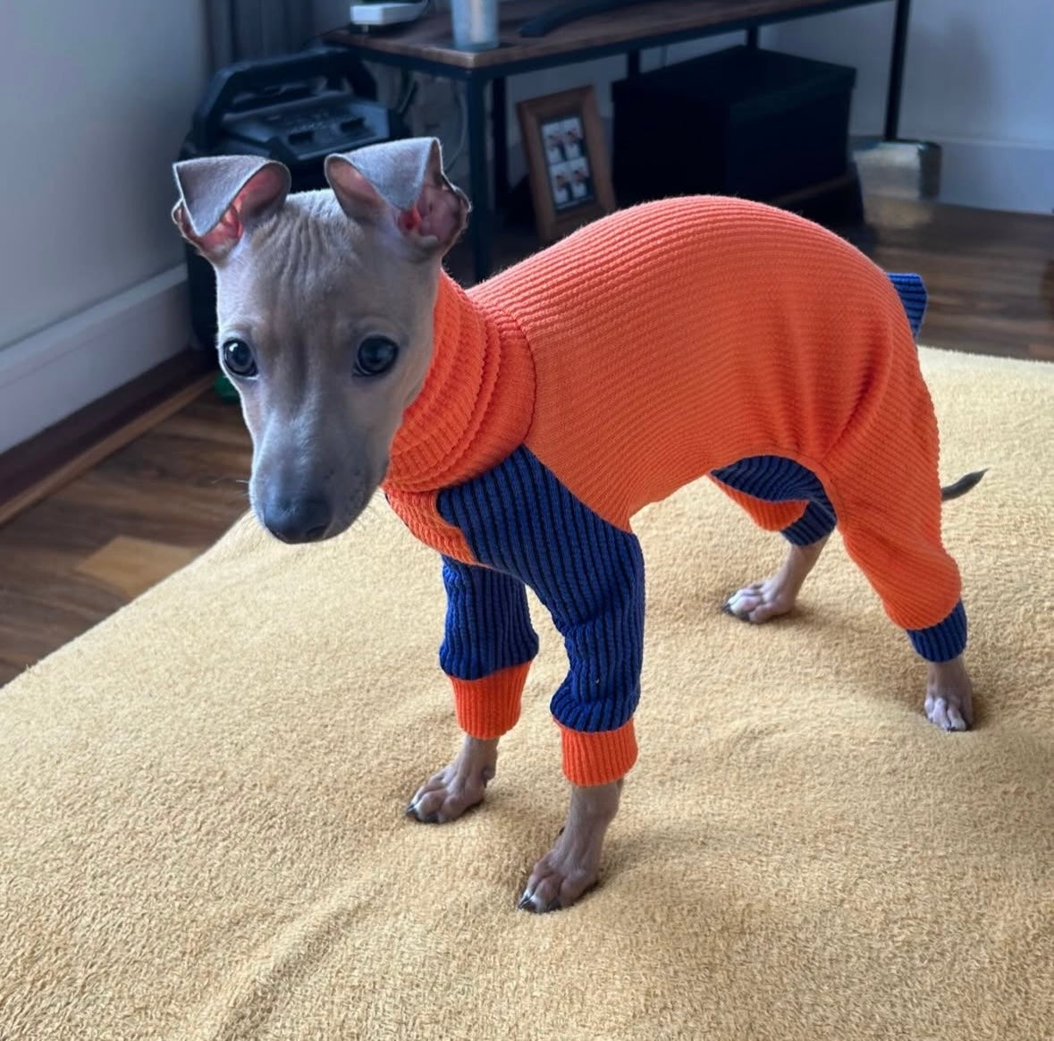 Ribbed Jersey Suit - Orangina