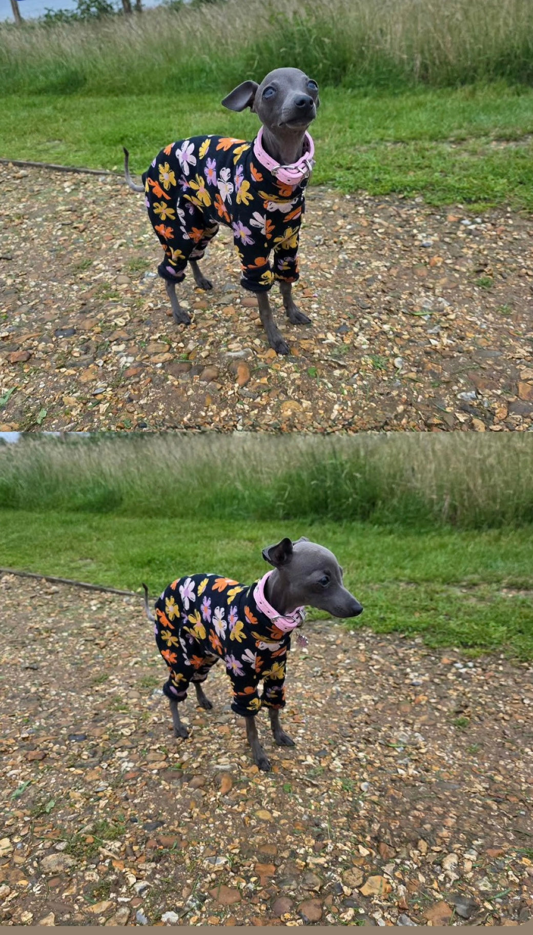 Fleece Lined Sweatshirt - Flower Power