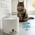 Fussy Cat - The Water Fountain