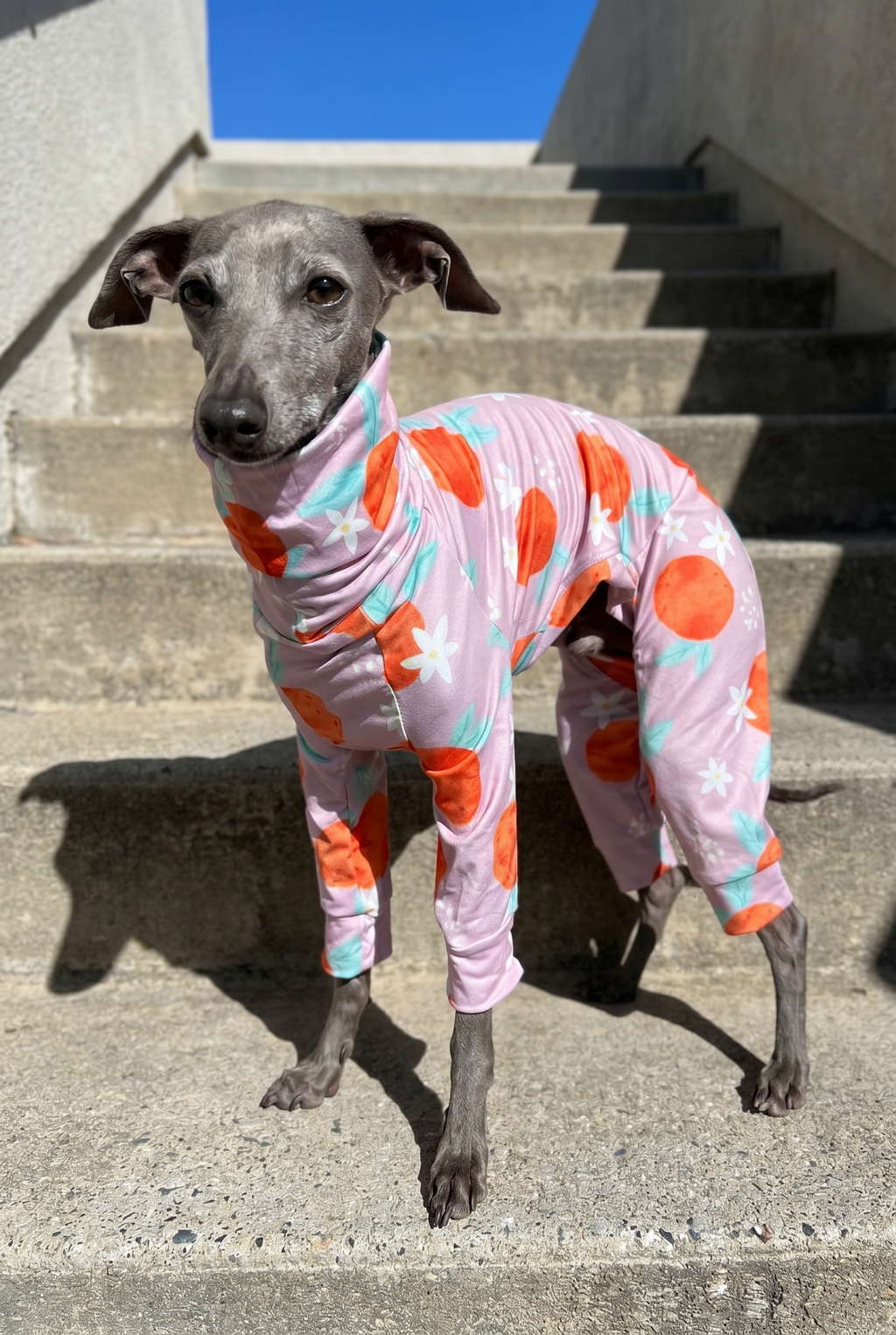 Jersey Suit - Peaches
