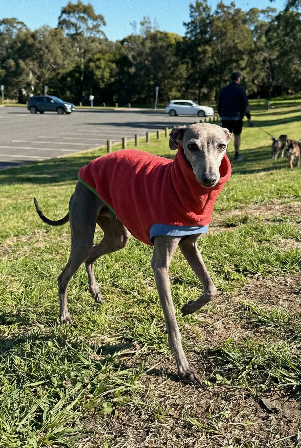Open-Leg Fleece Vest - Coral