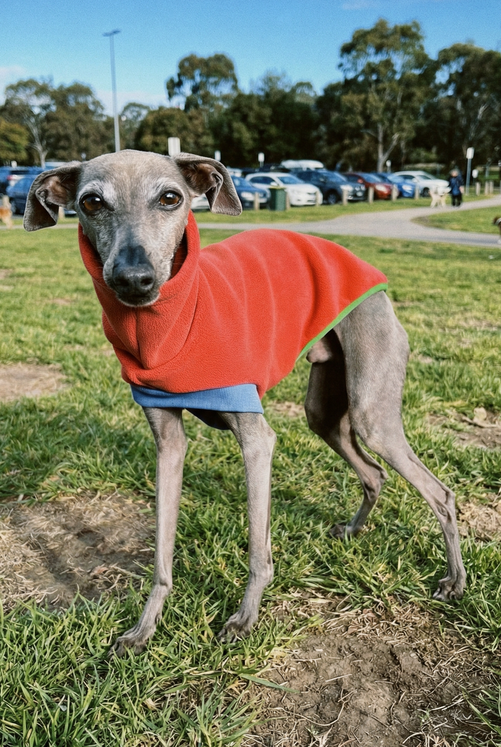 Open-Leg Fleece Vest - Coral