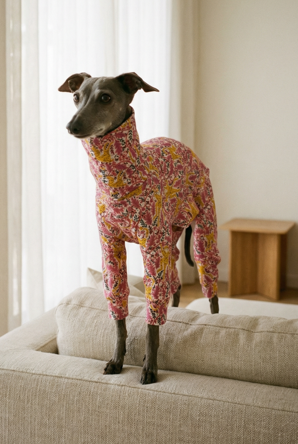 Jersey Suit - Cheeky Monkey