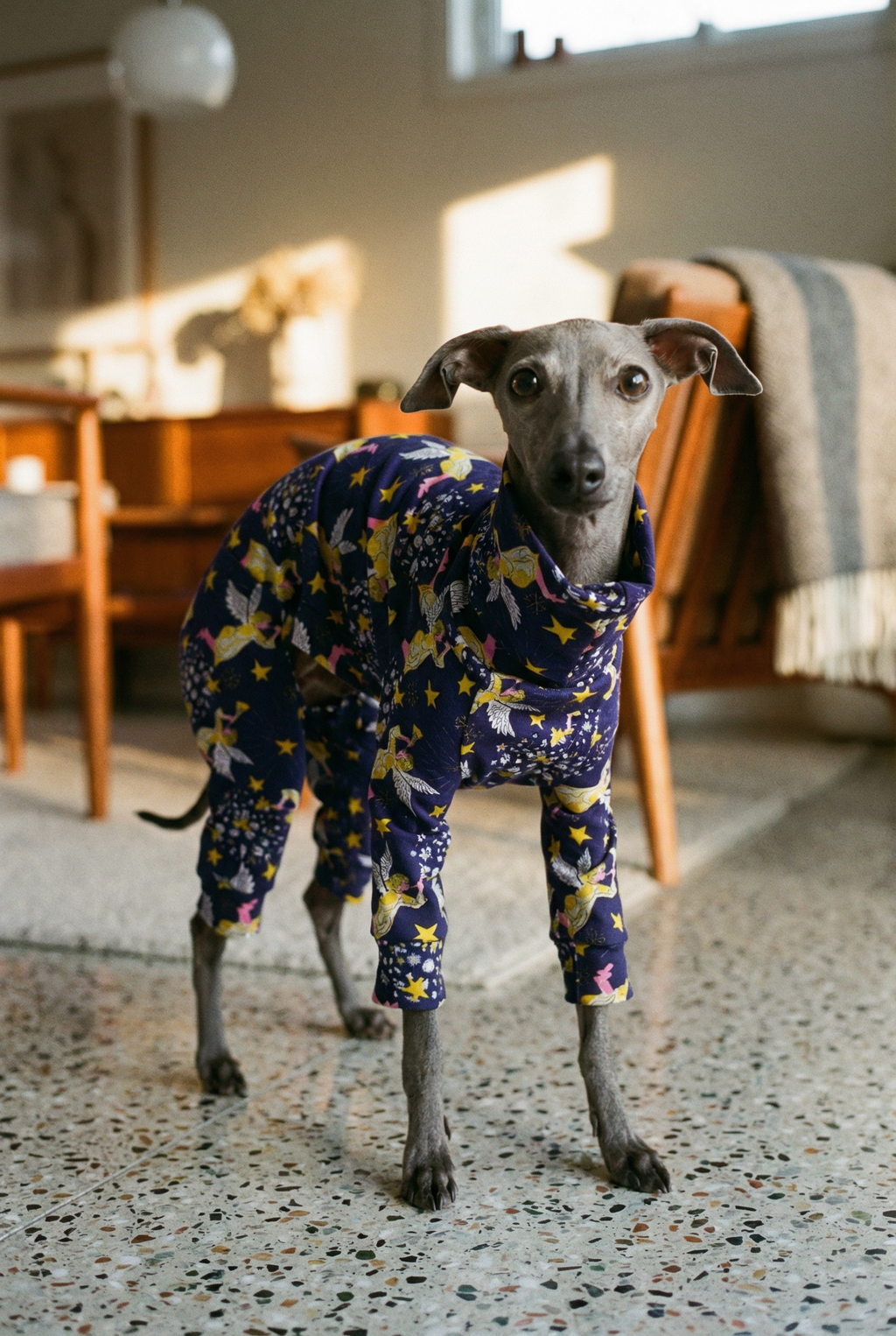 Christmas Jersey Suit - Divine Angels