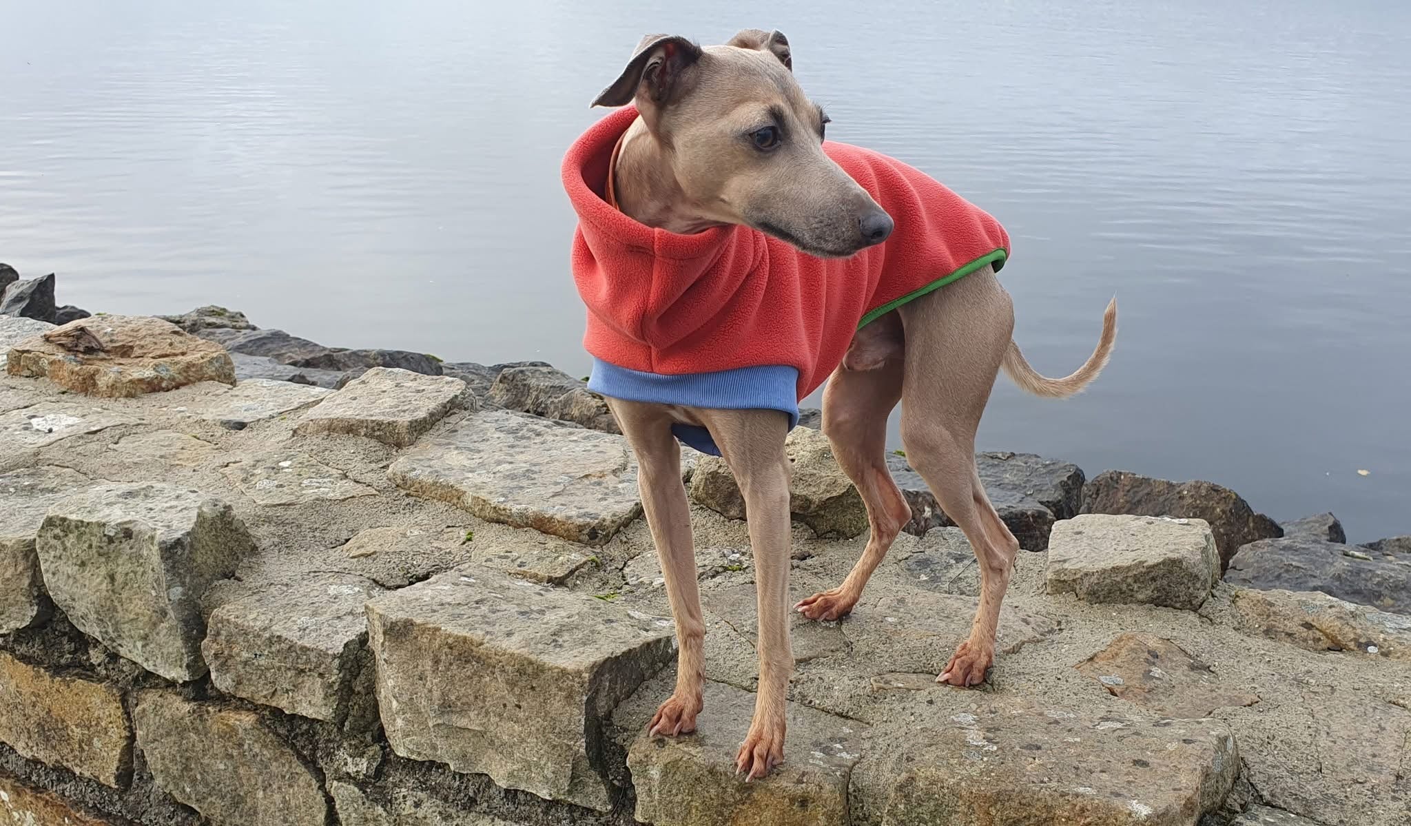 Open-Leg Fleece Vest - Coral