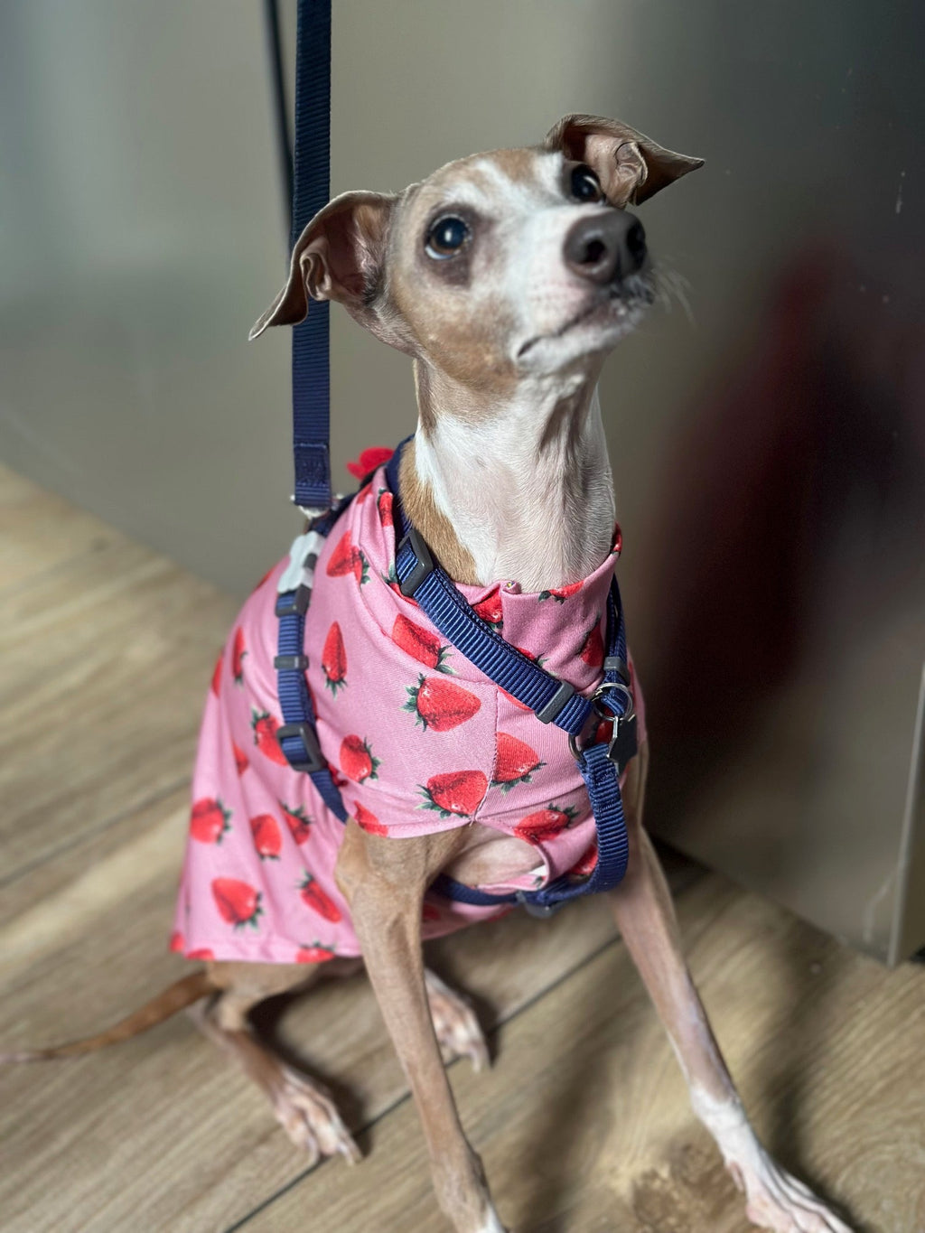 Jersey Vest - Strawberry Kisses