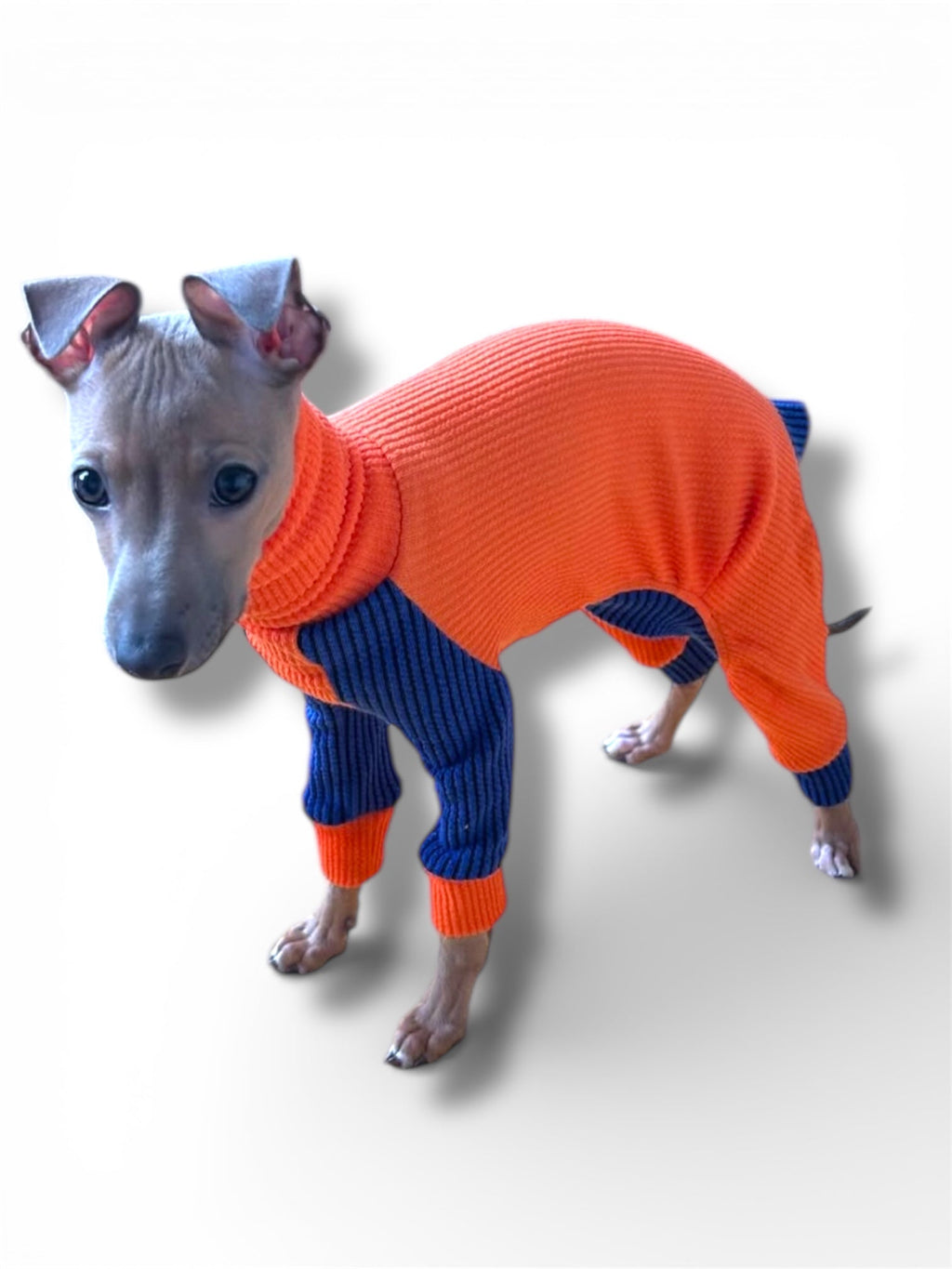 Ribbed Jersey Suit - Orangina