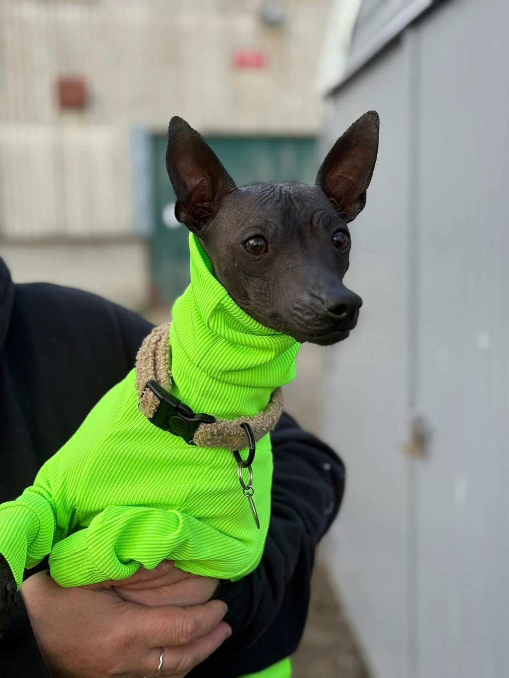 Ribbed Jersey - Hi-Visibility Yellow