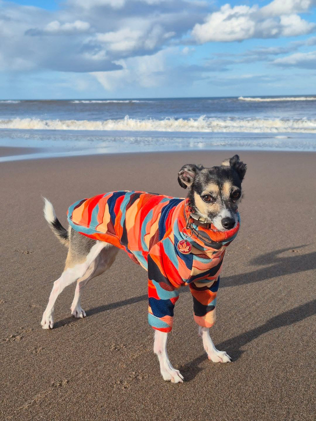Sherpa Lined Fleece Puppy Jumper - Mountains