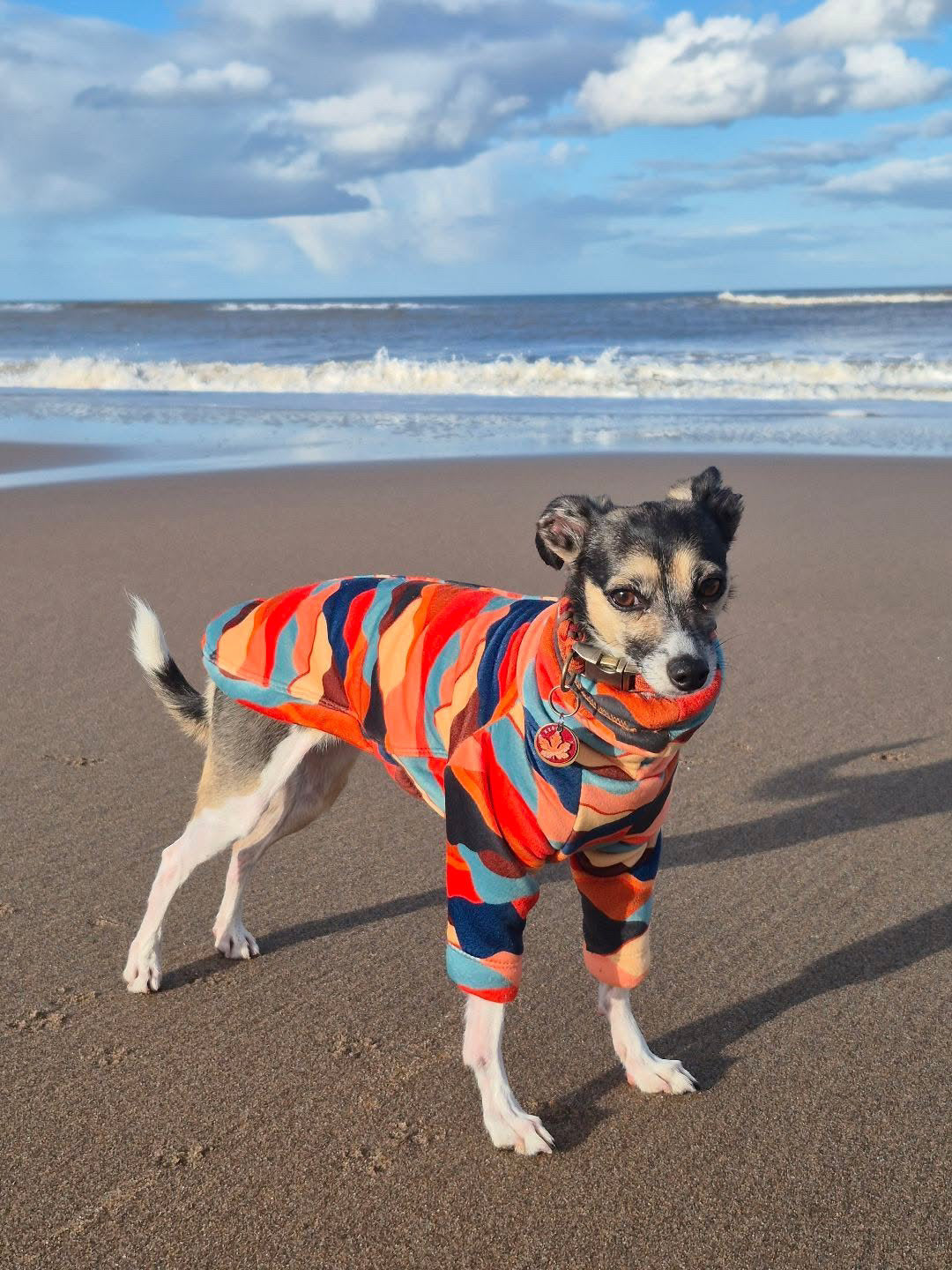 Sherpa Lined Fleece Puppy Jumper - Mountains