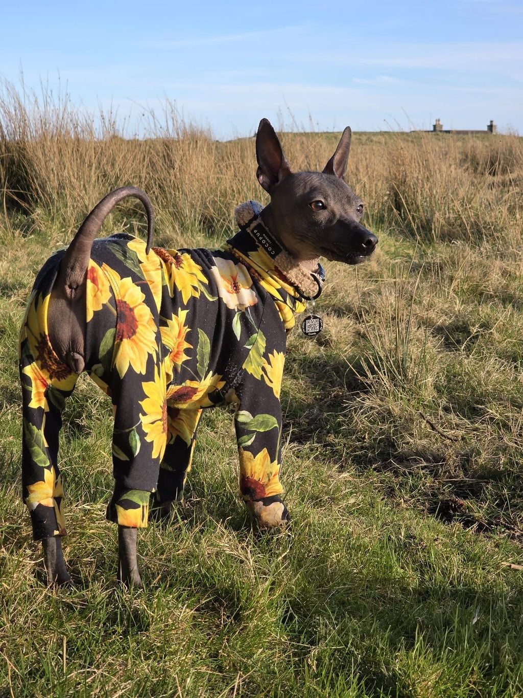 Jersey Suit - Sunflowers