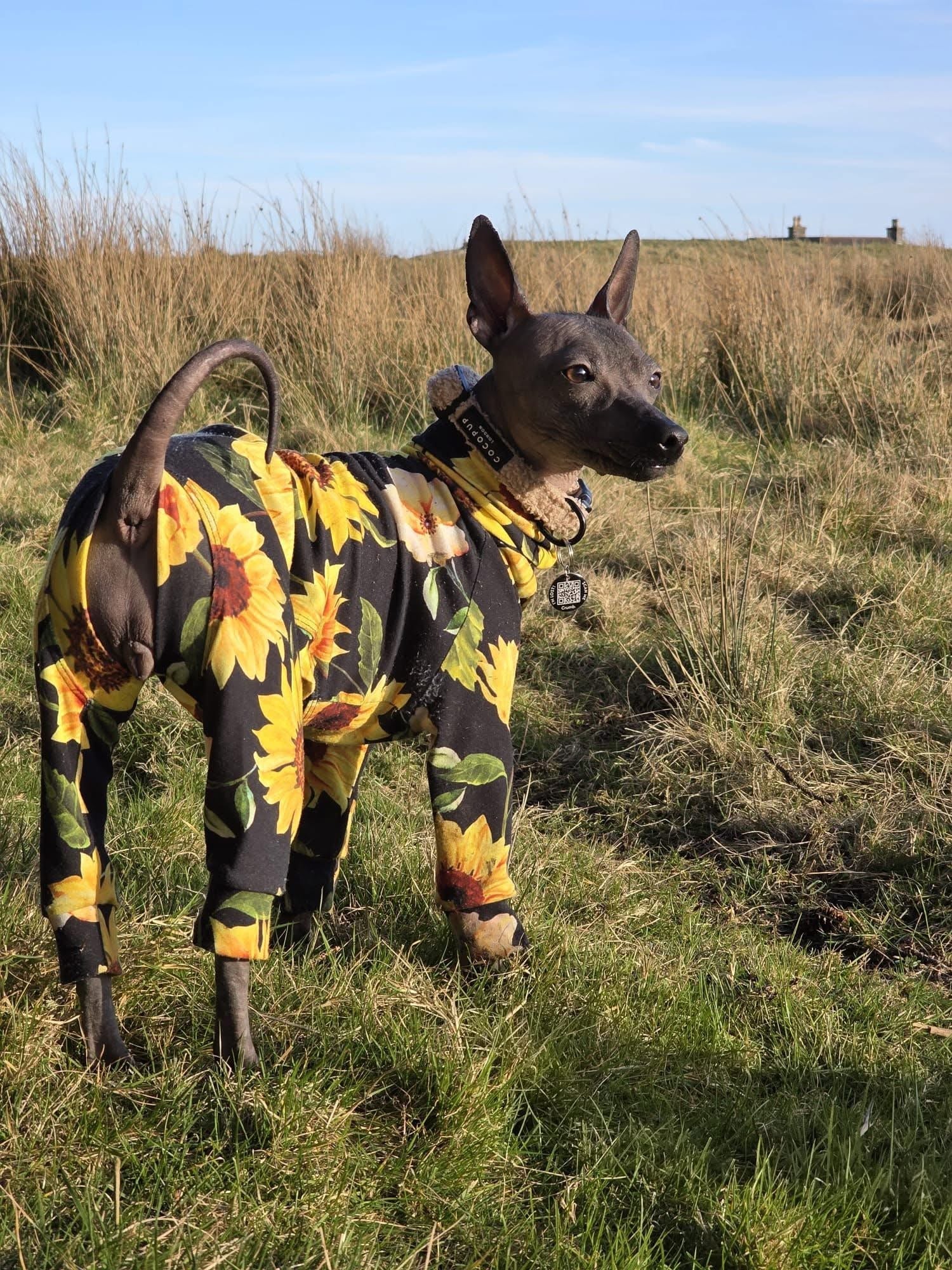 Jersey Suit - Sunflowers