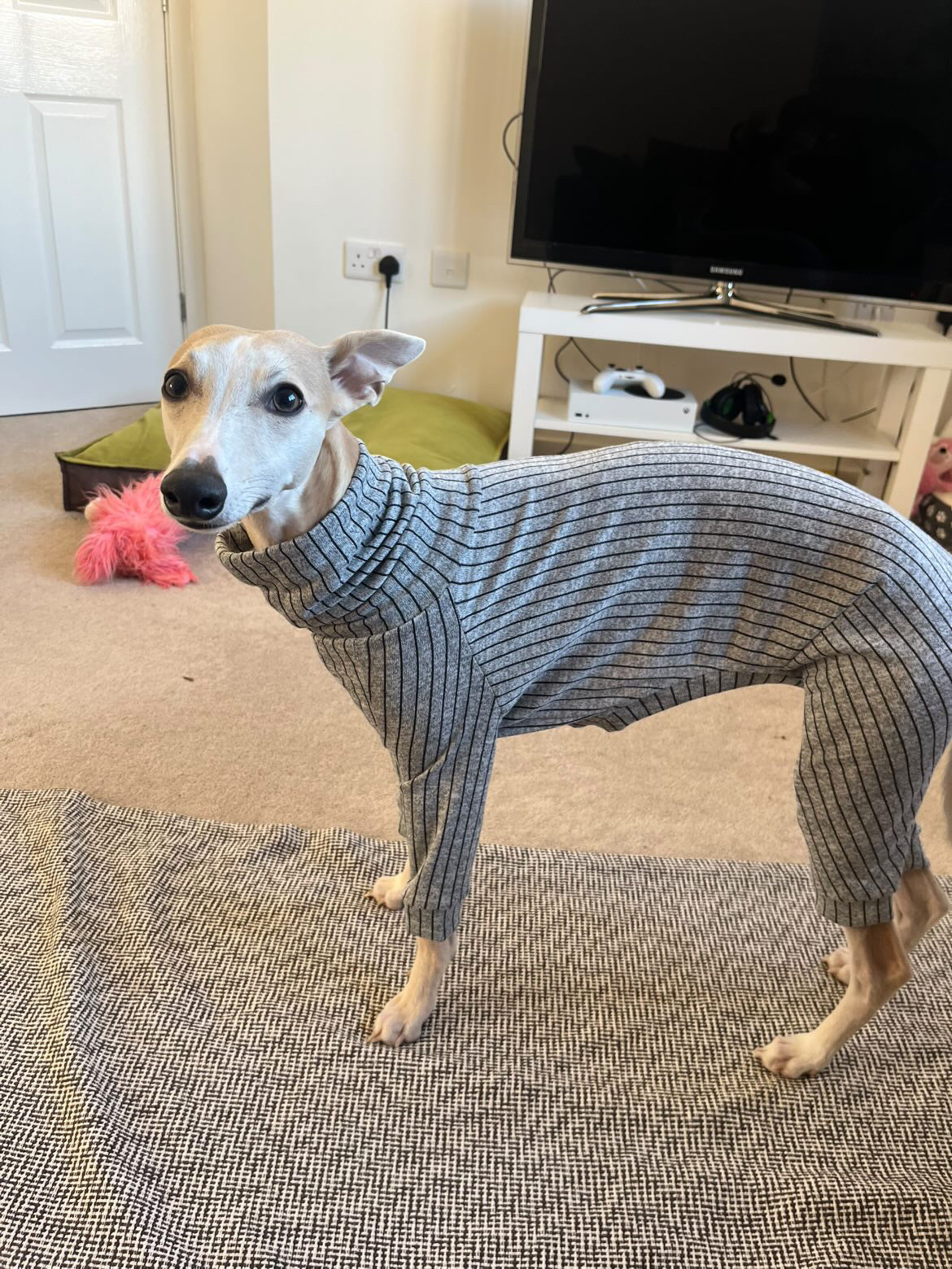 Knit Jersey Suit - Grey Stripe
