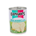 TWIN ELEPHANTS Green Jackfruit In Brine (Pieces) 540g