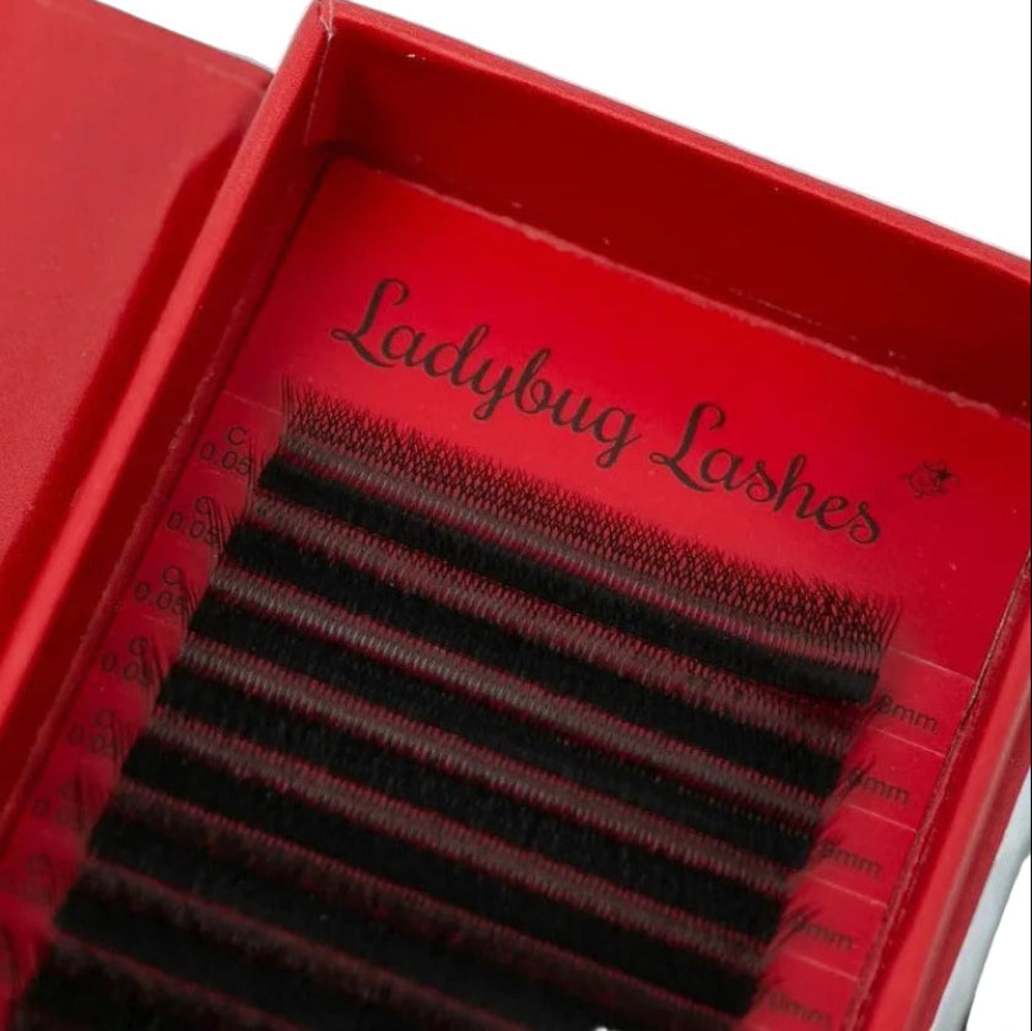 W Lash Single Length