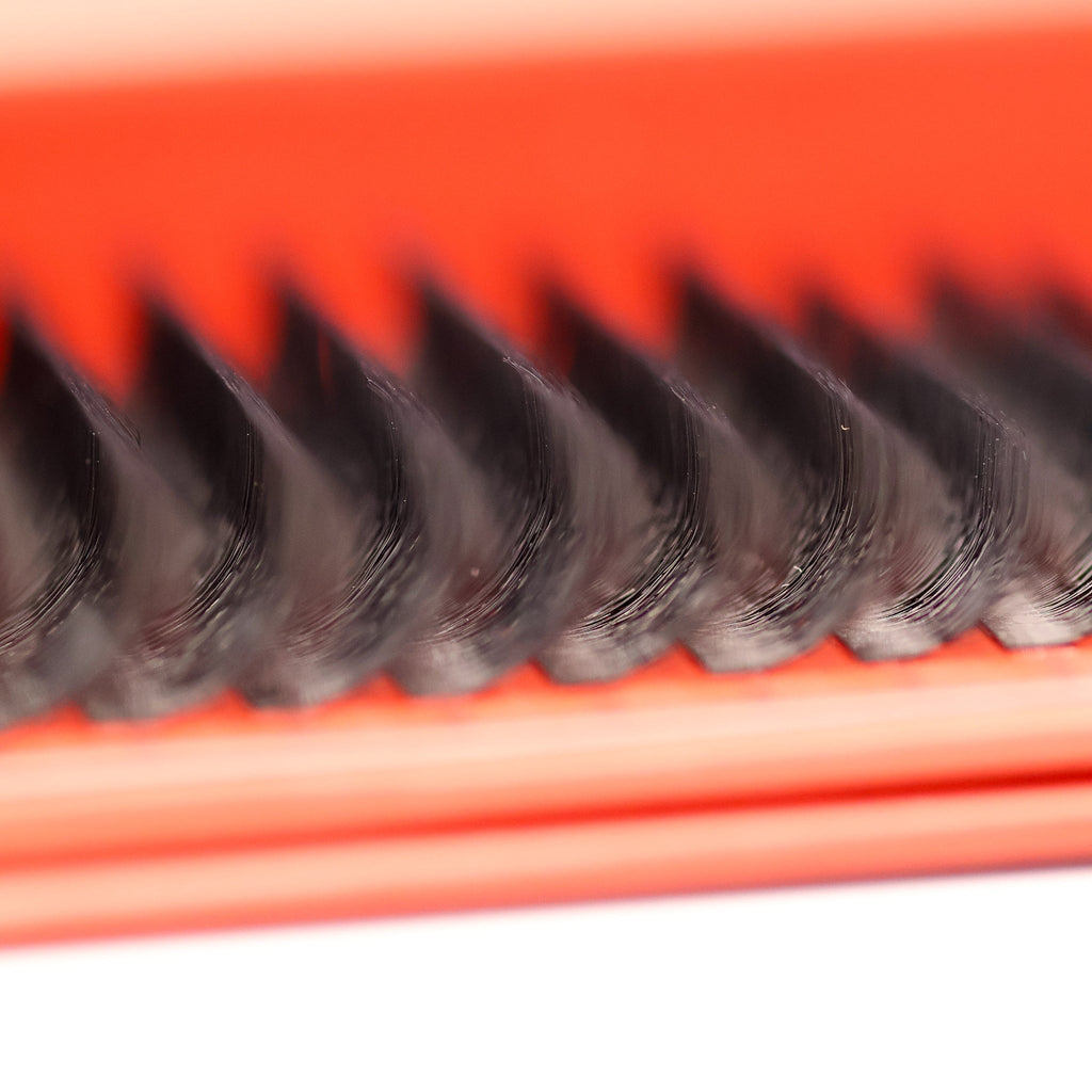 8D Clover Lash 16 Row Mixed Tray