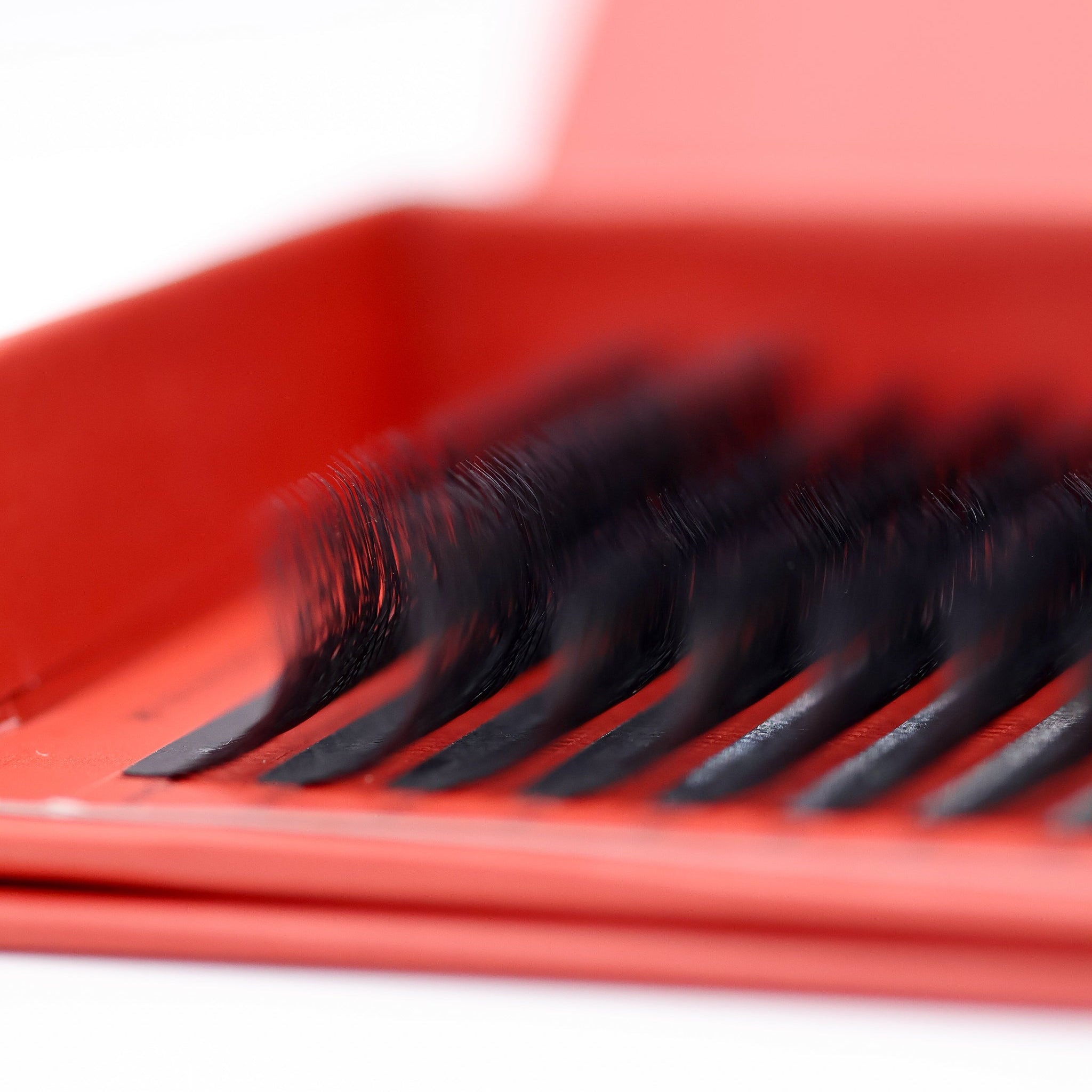 8D Clover Lash 16 Row Mixed Tray