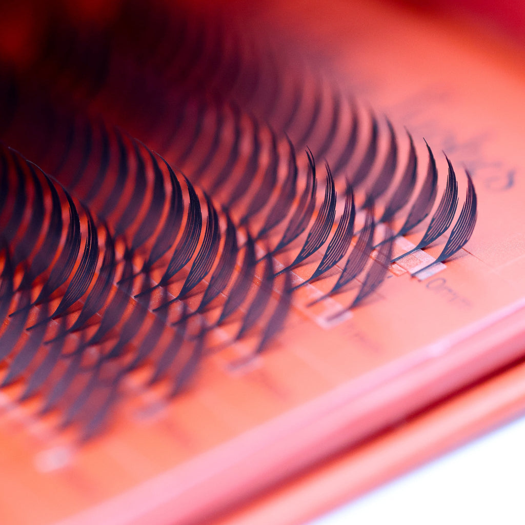 Sample Anime Feather Lash Tray