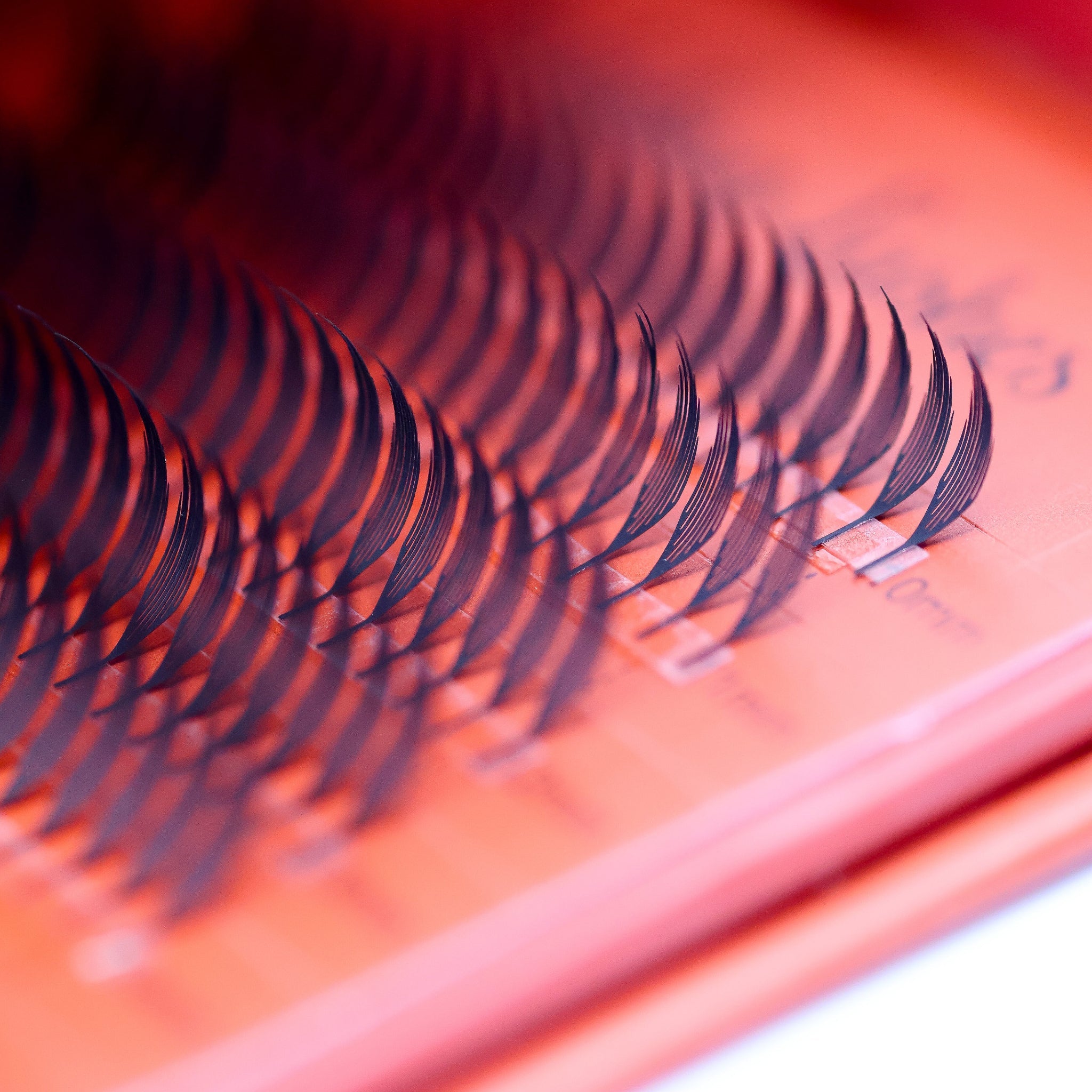 Sample Anime Feather Lash Tray