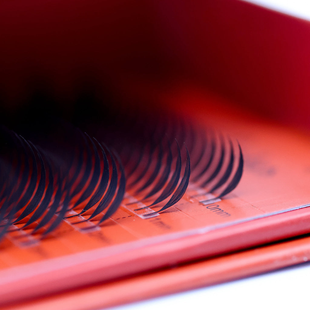 Sample Anime Feather Lash Tray