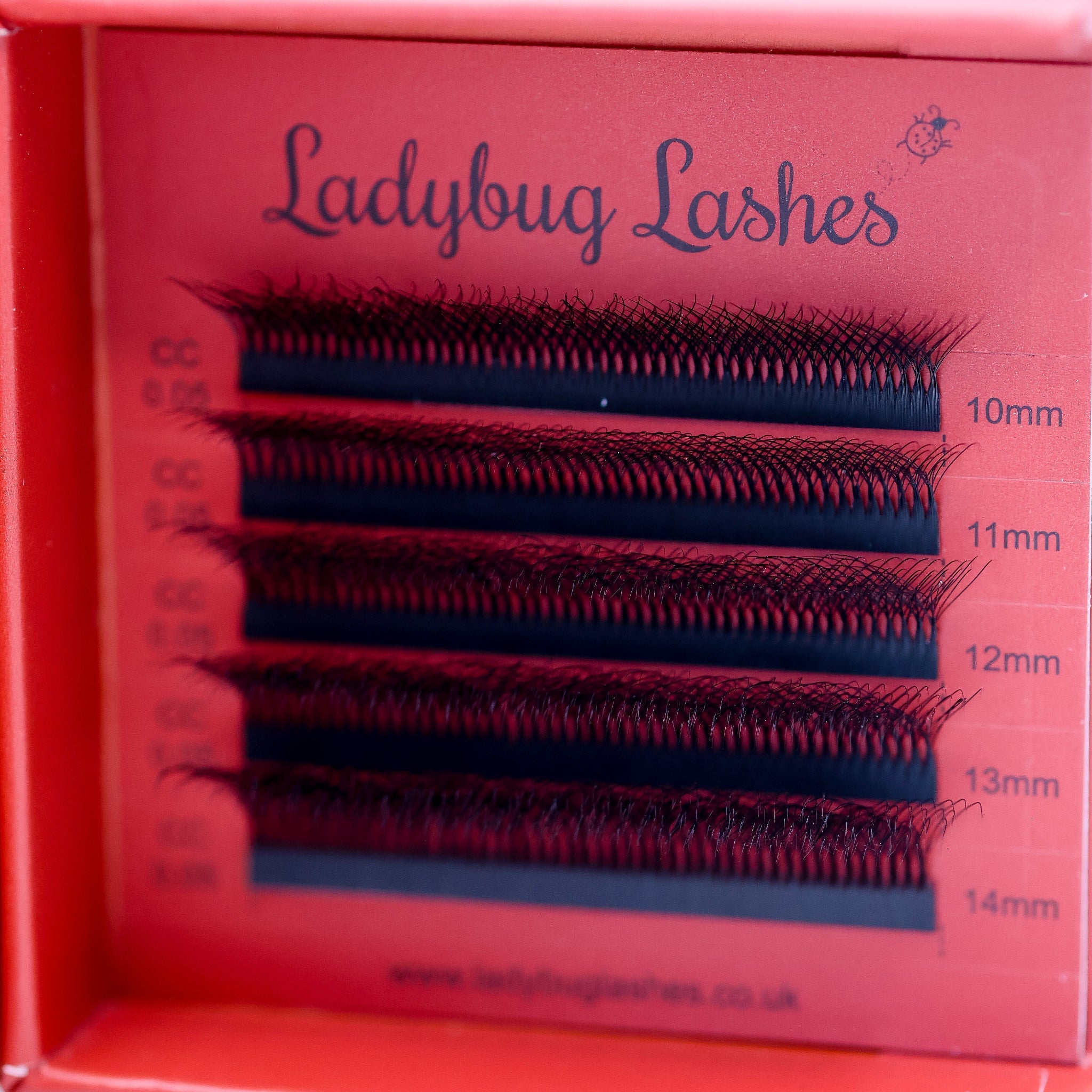 Sample Tray 10D Clover Lash
