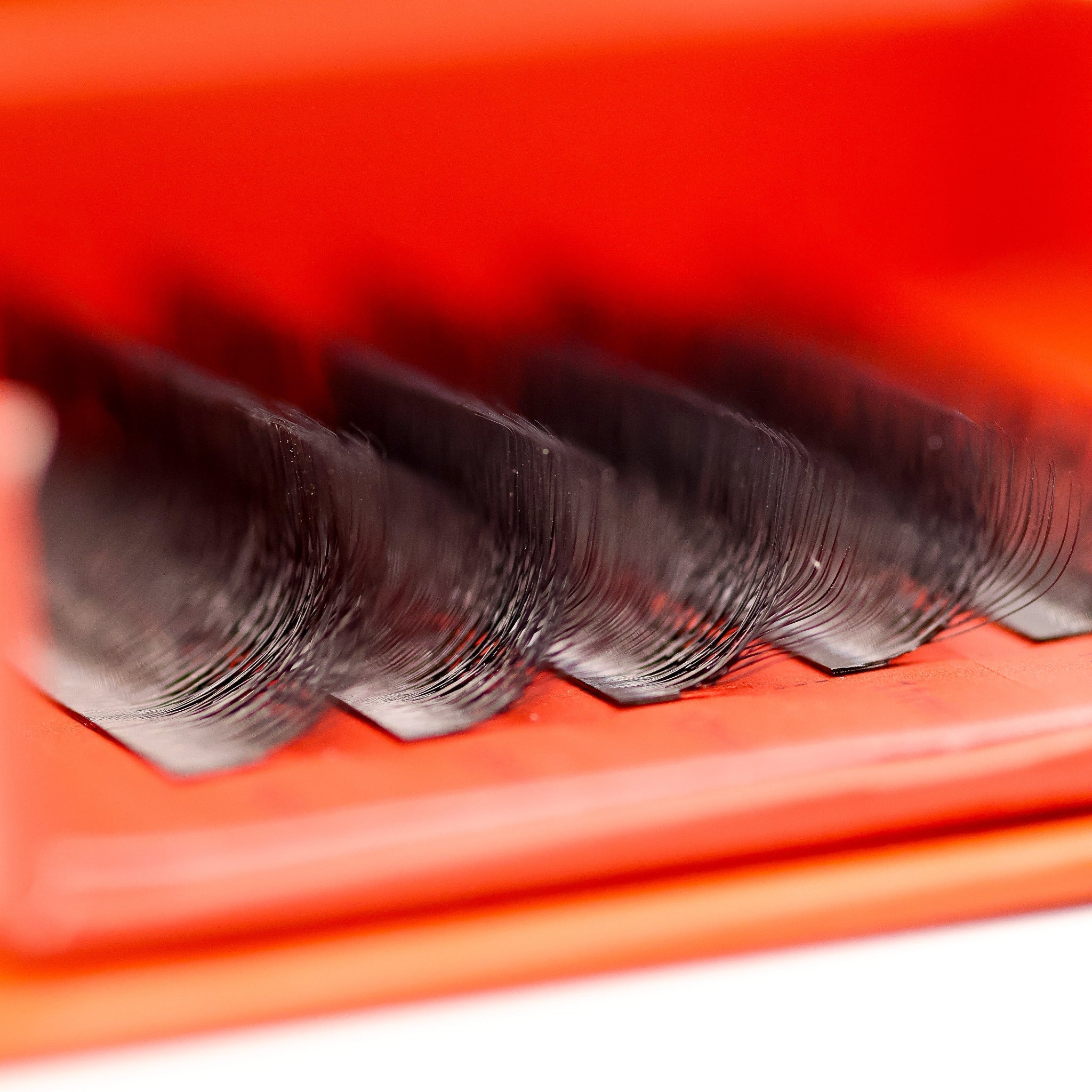 Sample Tray 10D Clover Lash