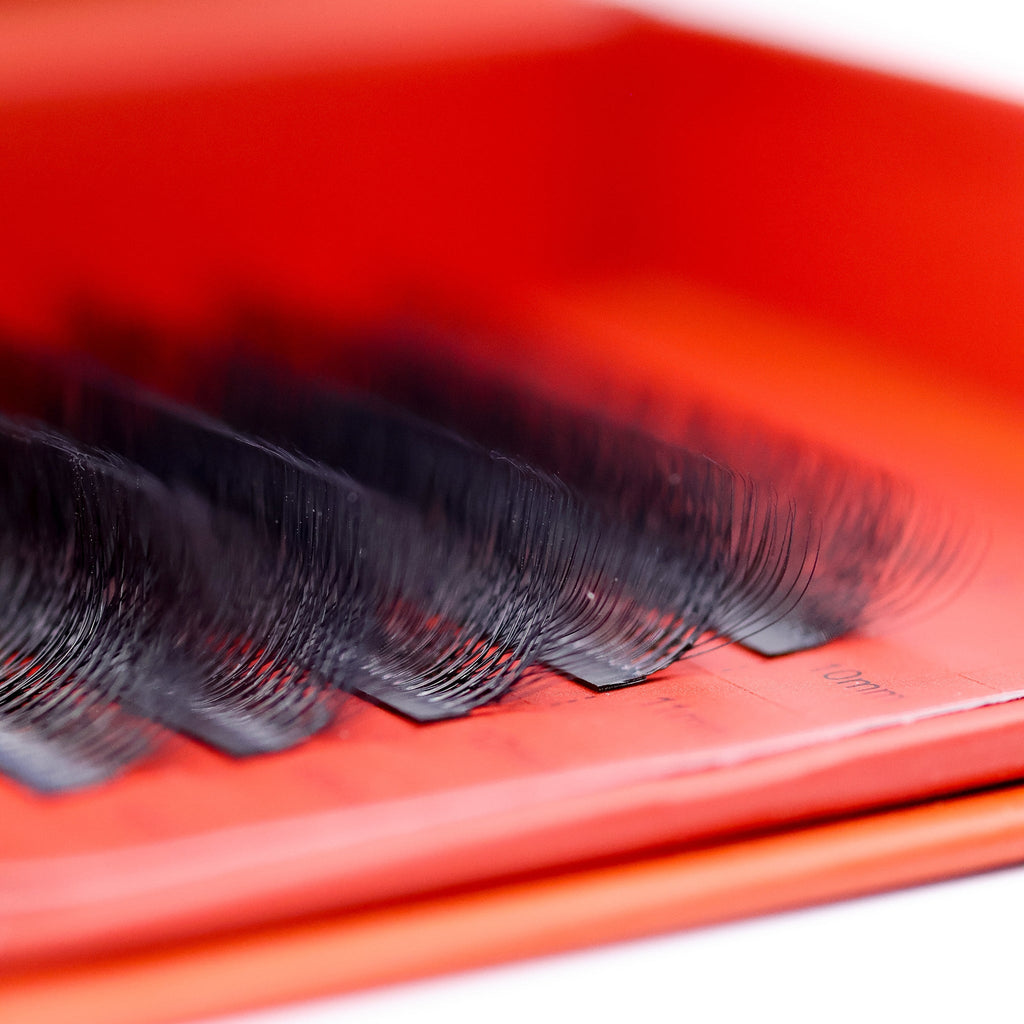 Sample Tray 10D Clover Lash