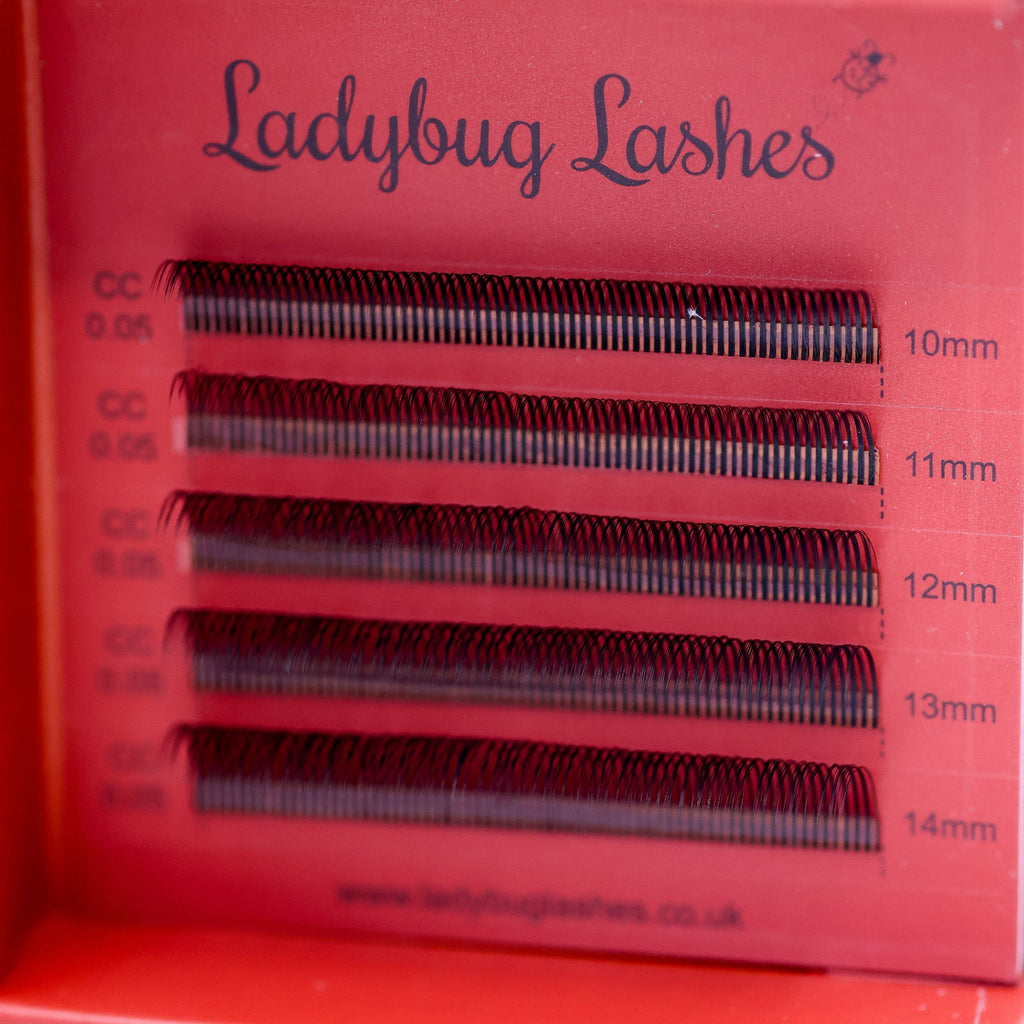 Sample Tray Angel Lash Fans